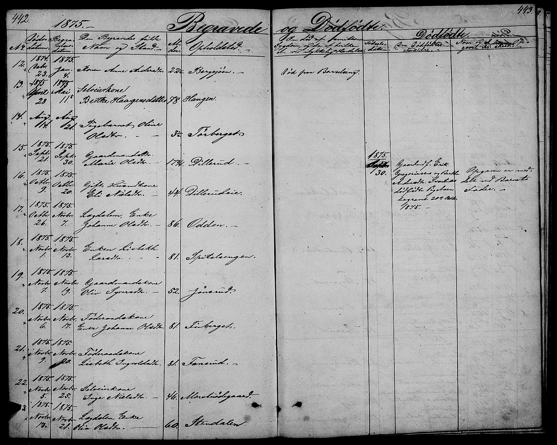 Stange prestekontor, AV/SAH-PREST-002/L/L0005: Parish register (copy) no. 5, 1861-1881, p. 442-443