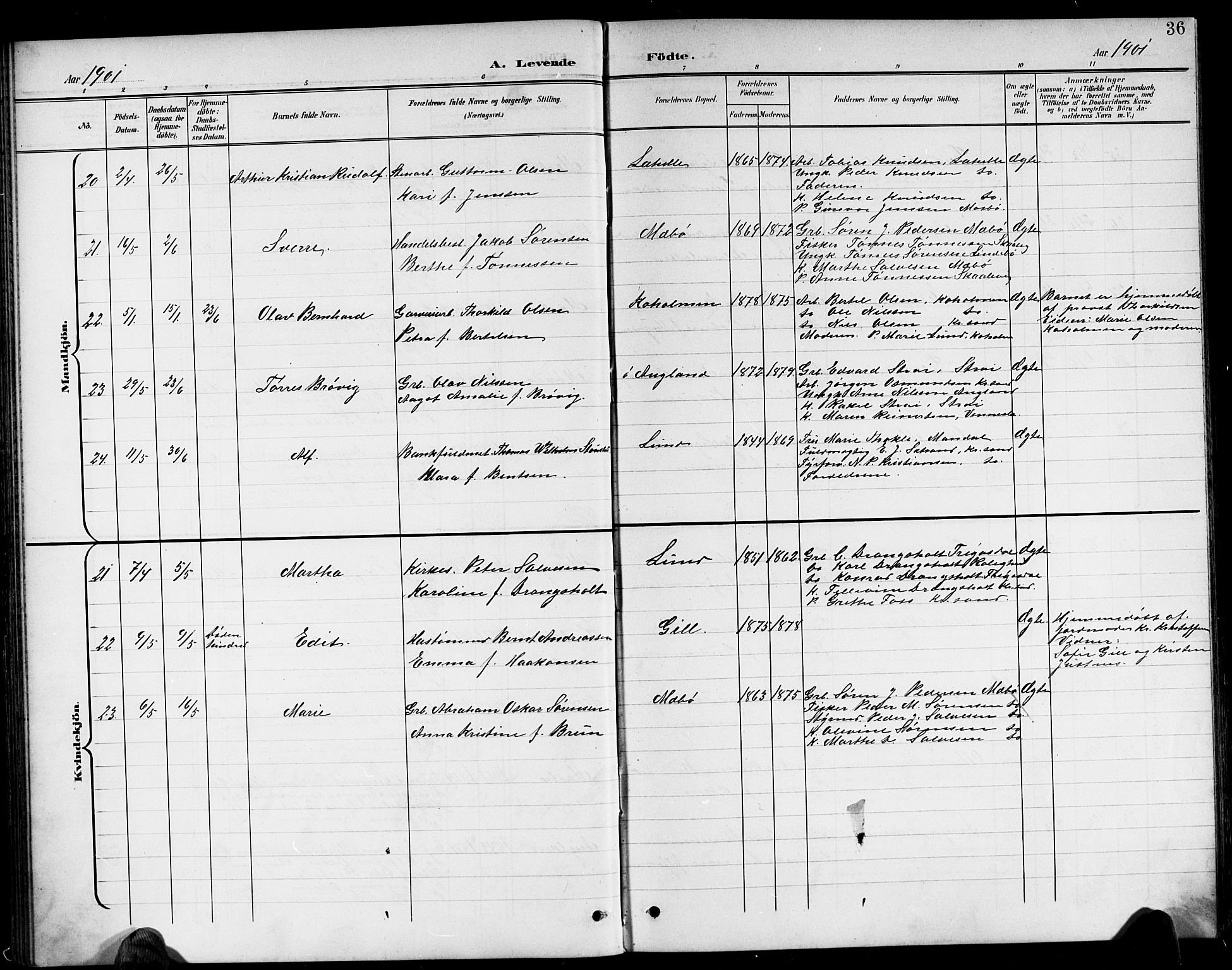 Oddernes sokneprestkontor, AV/SAK-1111-0033/F/Fb/Fba/L0009: Parish register (copy) no. B 9, 1899-1923, p. 36