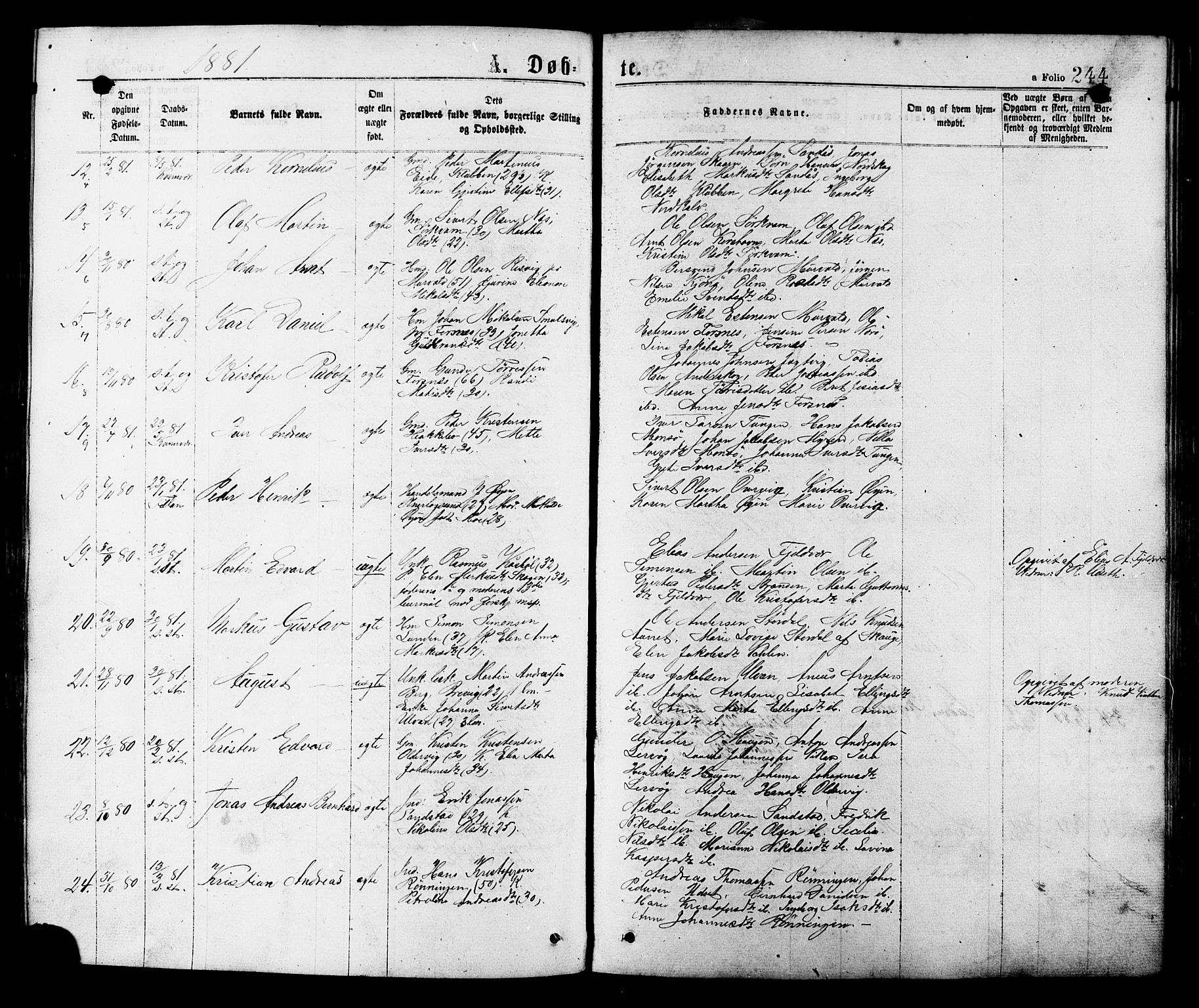 Ministerialprotokoller, klokkerbøker og fødselsregistre - Sør-Trøndelag, SAT/A-1456/634/L0532: Parish register (official) no. 634A08, 1871-1881, p. 244