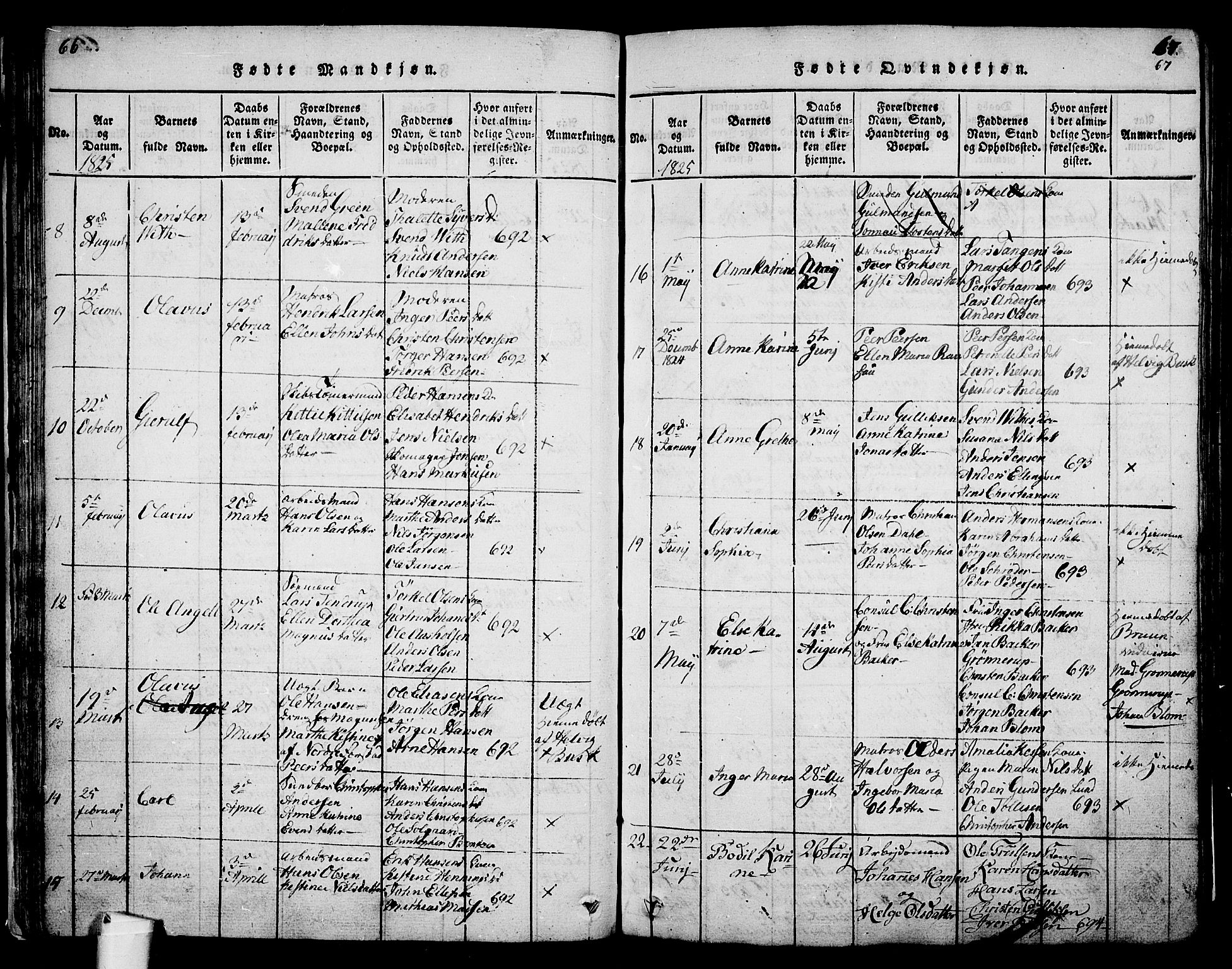 Holmestrand kirkebøker, SAKO/A-346/G/Ga/L0001: Parish register (copy) no. 1, 1814-1848, p. 66-67