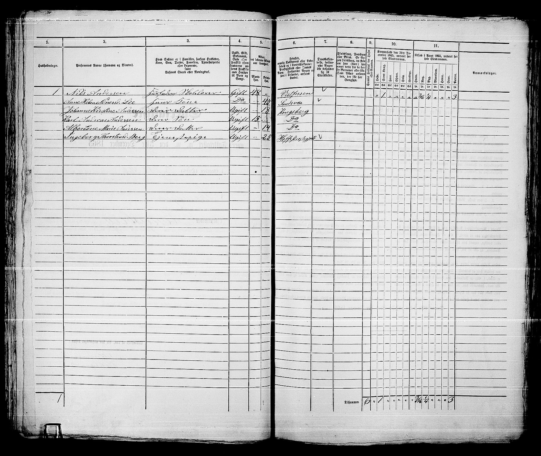 RA, 1865 census for Kongsberg/Kongsberg, 1865, p. 1121