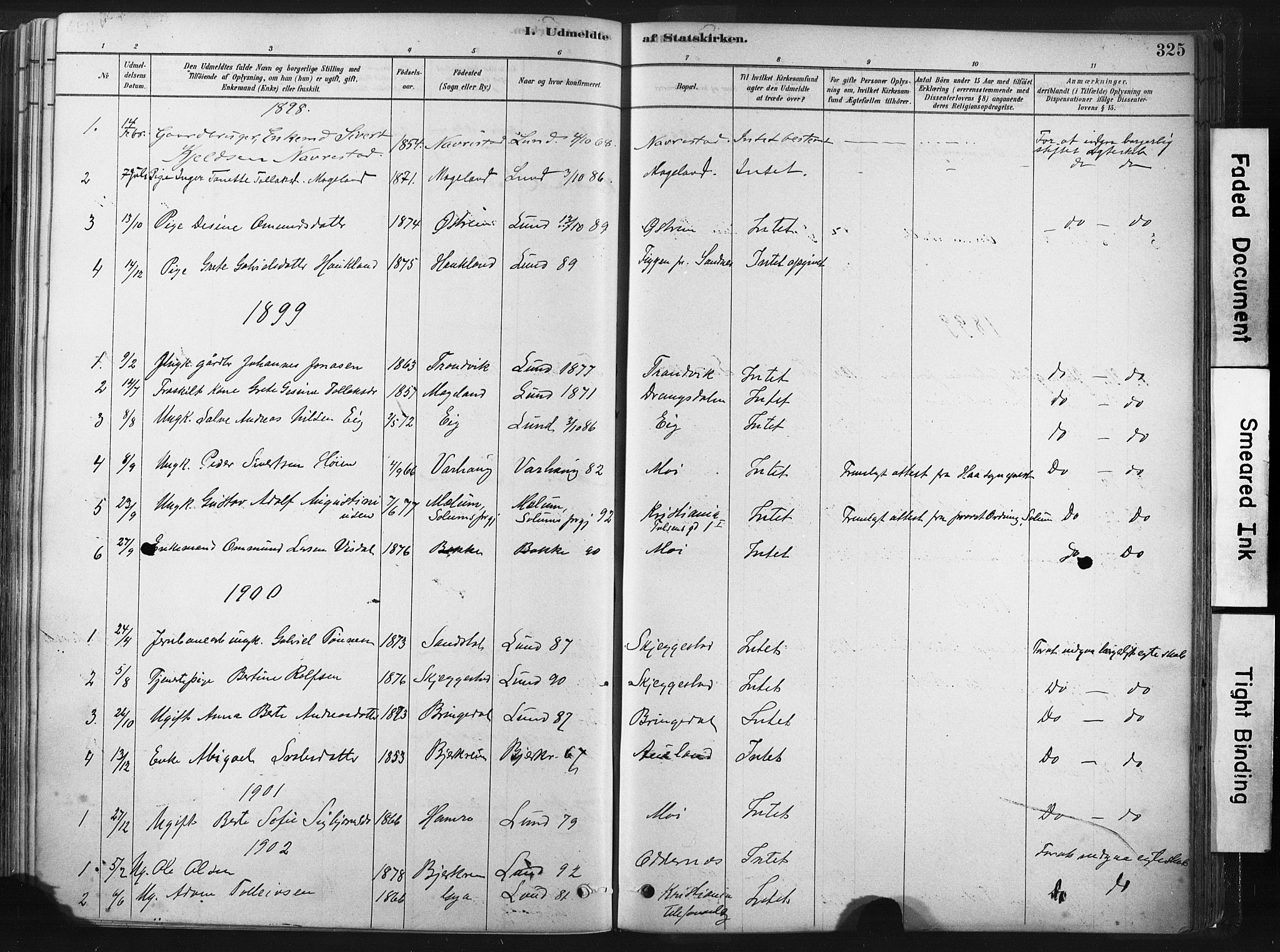 Lund sokneprestkontor, SAST/A-101809/S06/L0011: Parish register (official) no. A 10, 1877-1904, p. 325