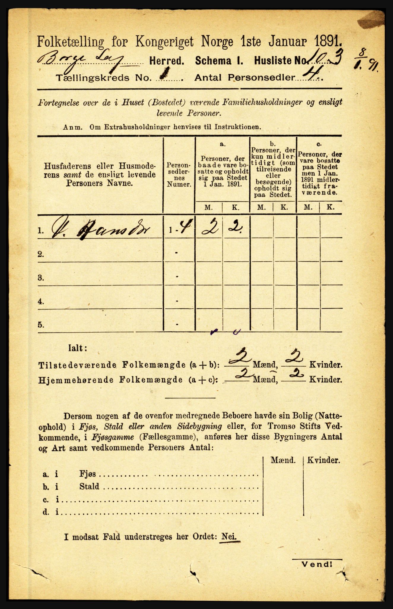 RA, 1891 census for 1862 Borge, 1891, p. 128