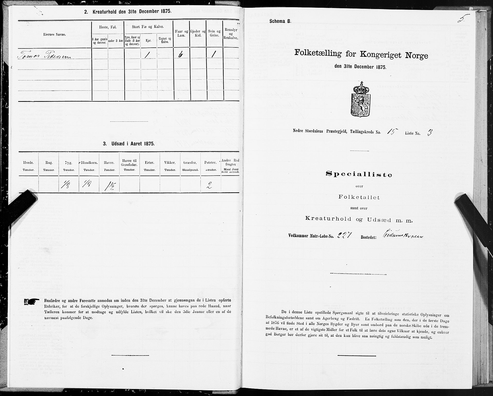 SAT, 1875 census for 1714P Nedre Stjørdal, 1875, p. 8005