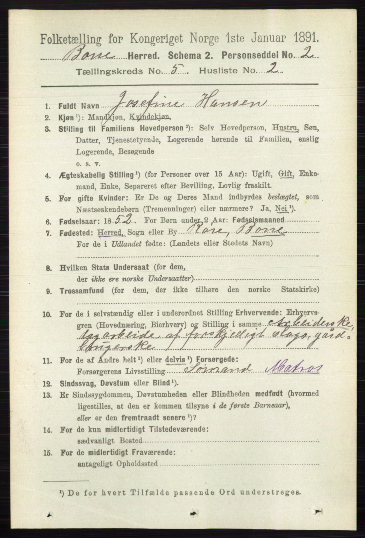 RA, 1891 census for 0717 Borre, 1891, p. 2021