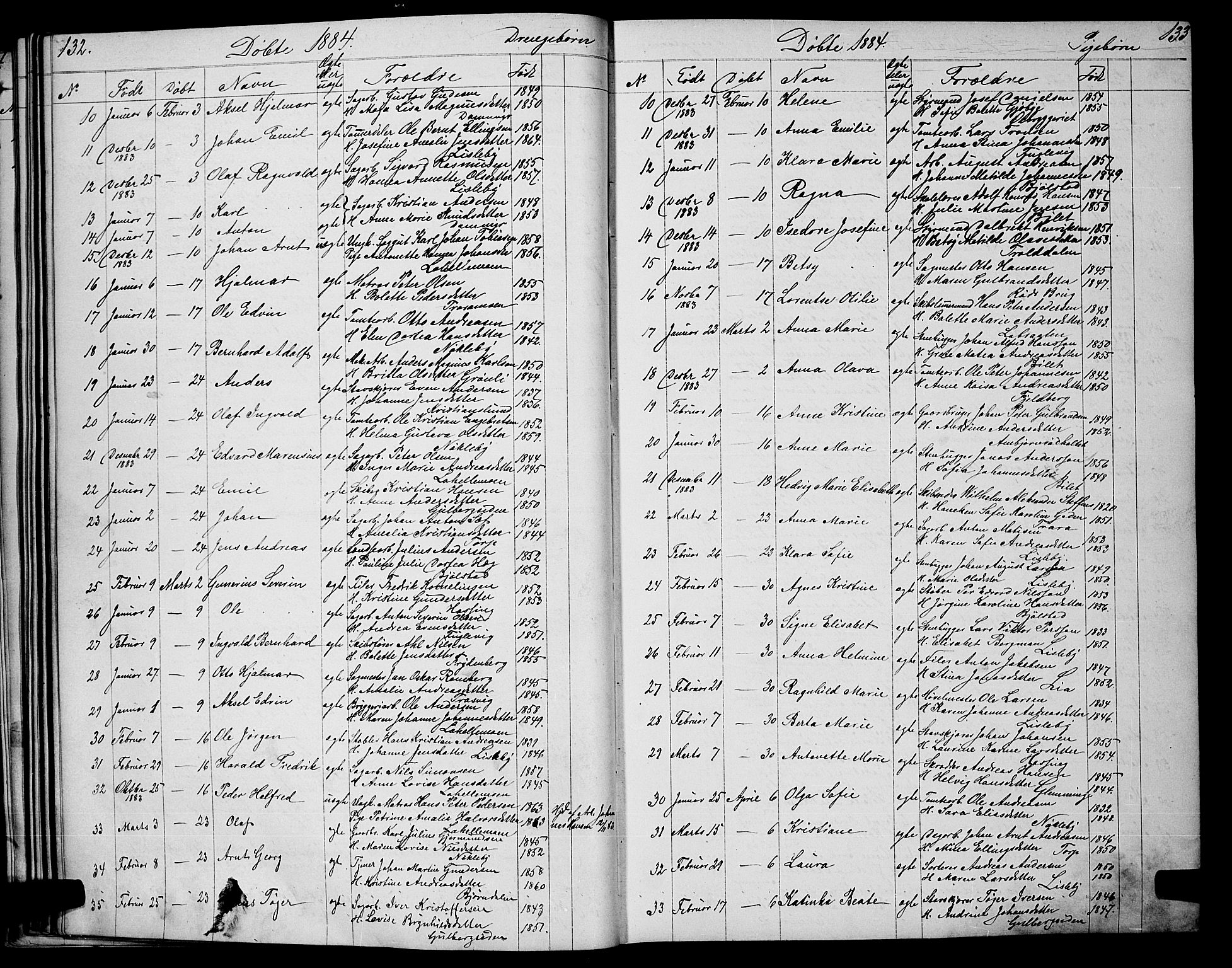 Glemmen prestekontor Kirkebøker, SAO/A-10908/G/Ga/L0005: Parish register (copy) no. 5, 1876-1893, p. 132-133
