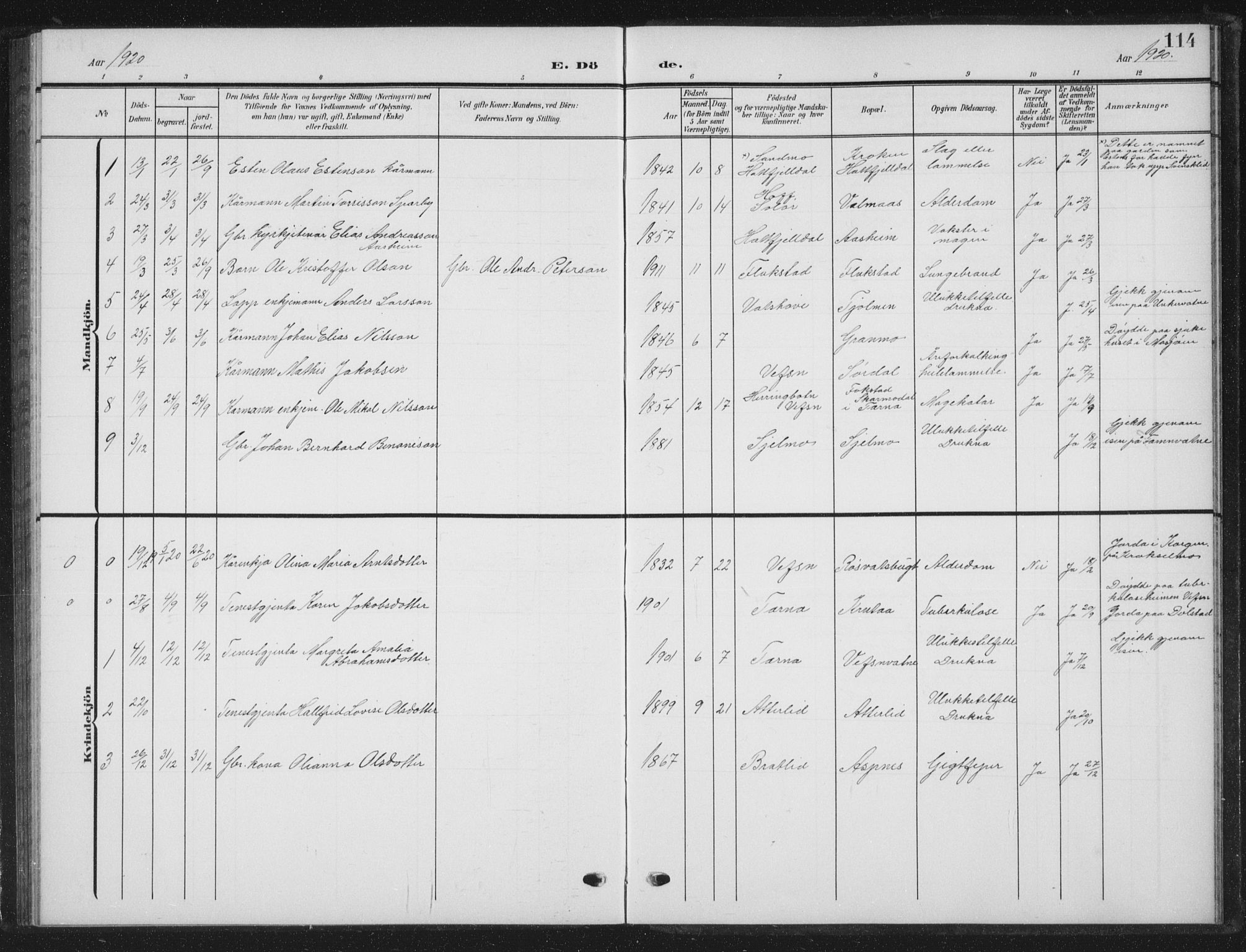 Ministerialprotokoller, klokkerbøker og fødselsregistre - Nordland, AV/SAT-A-1459/823/L0331: Parish register (copy) no. 823C03, 1905-1934, p. 114