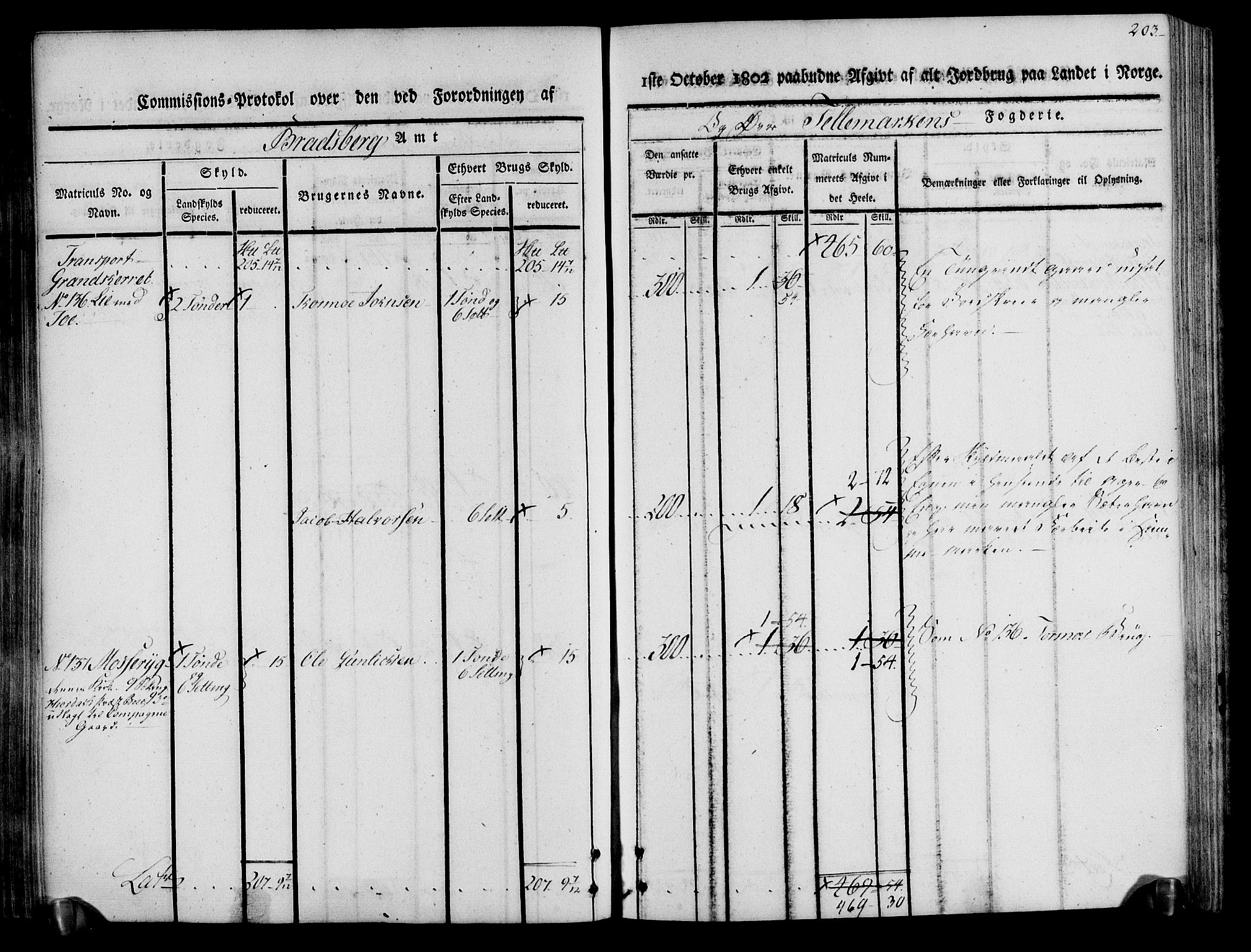 Rentekammeret inntil 1814, Realistisk ordnet avdeling, AV/RA-EA-4070/N/Ne/Nea/L0074: Øvre Telemarken fogderi. Kommisjonsprotokoll for fogderiets østre del - Tinn, Hjartdal og Seljord prestegjeld., 1803, p. 203