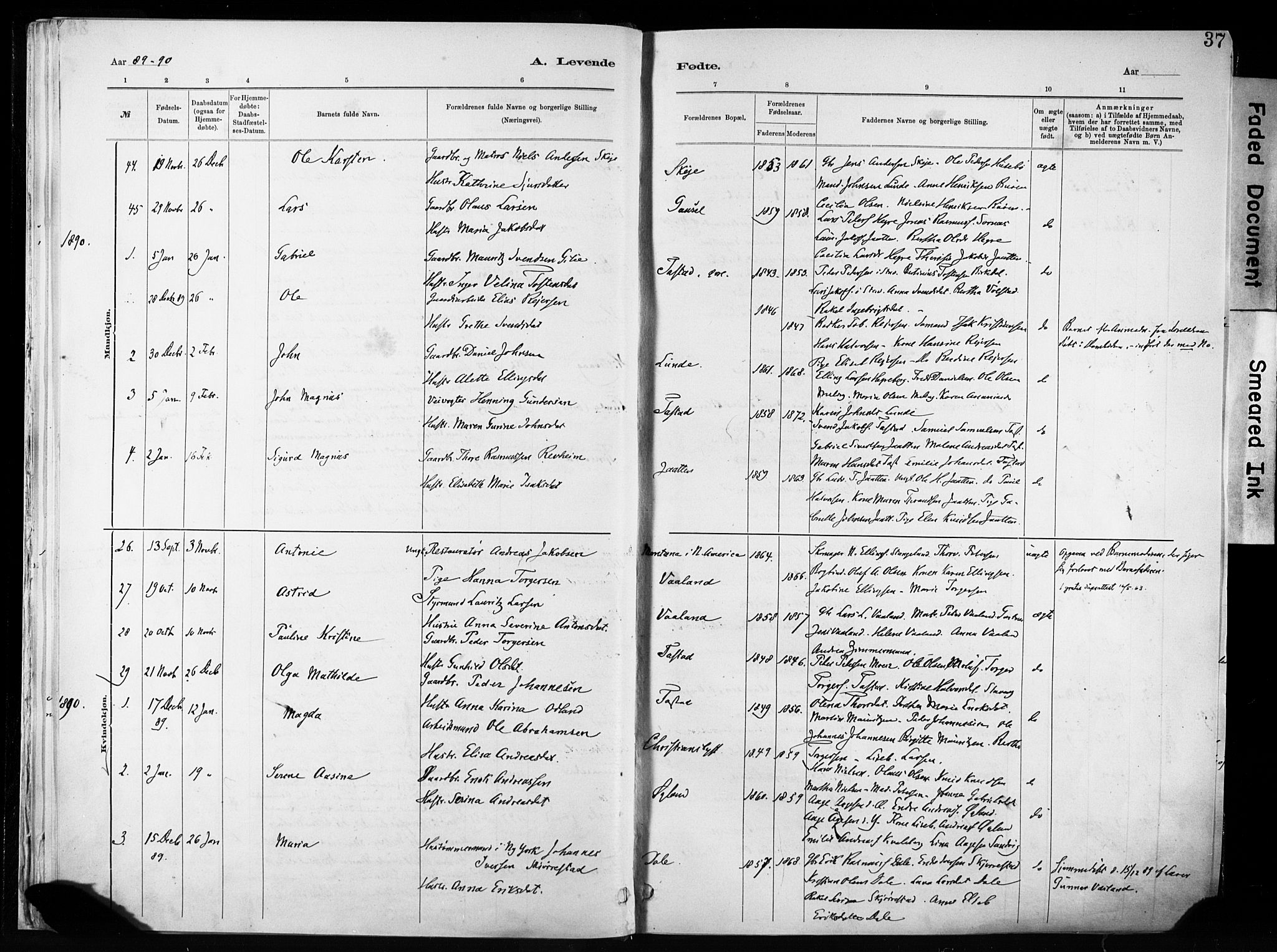 Hetland sokneprestkontor, SAST/A-101826/30/30BA/L0011: Parish register (official) no. A 11, 1884-1911, p. 37