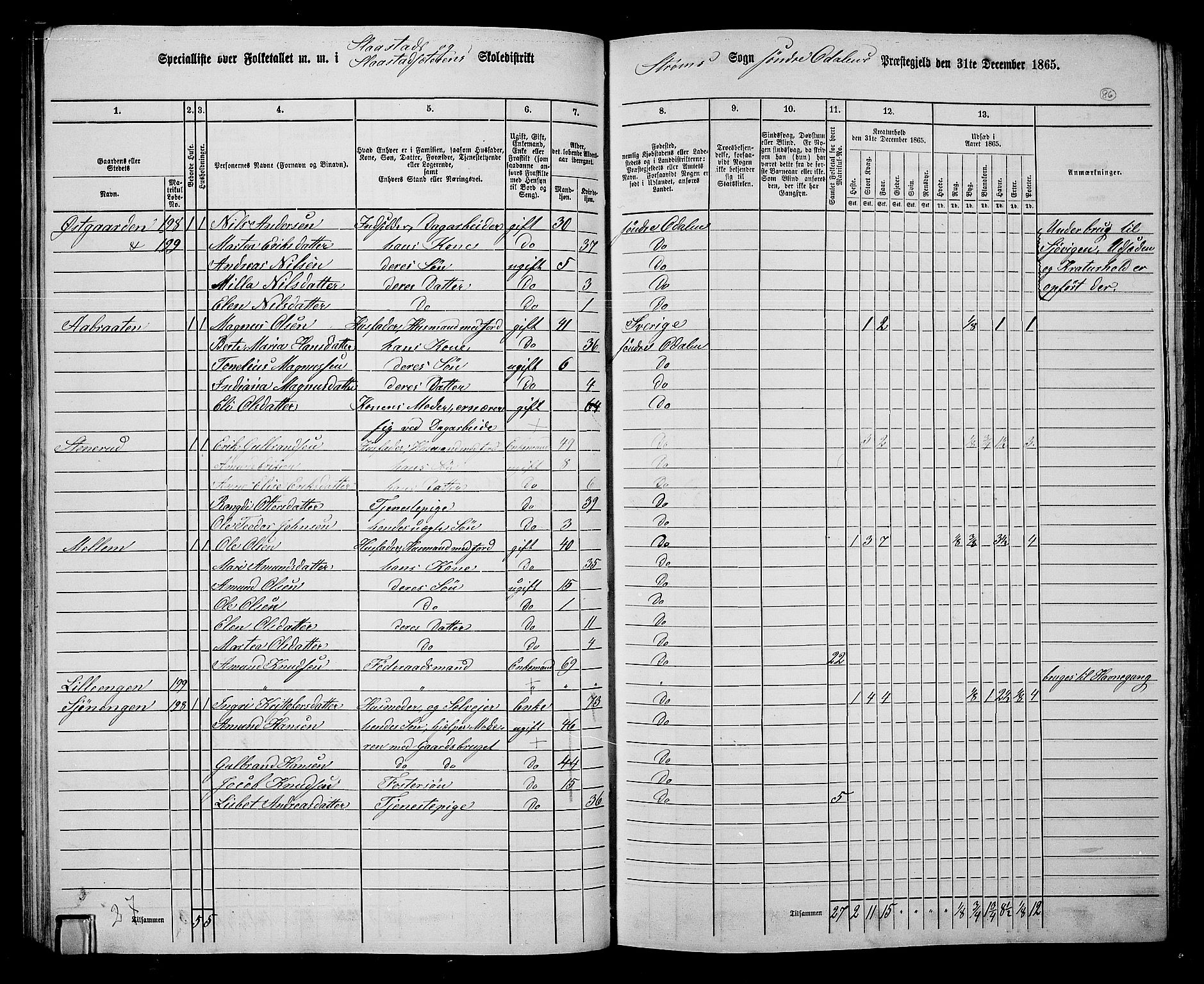 RA, 1865 census for Sør-Odal, 1865, p. 76