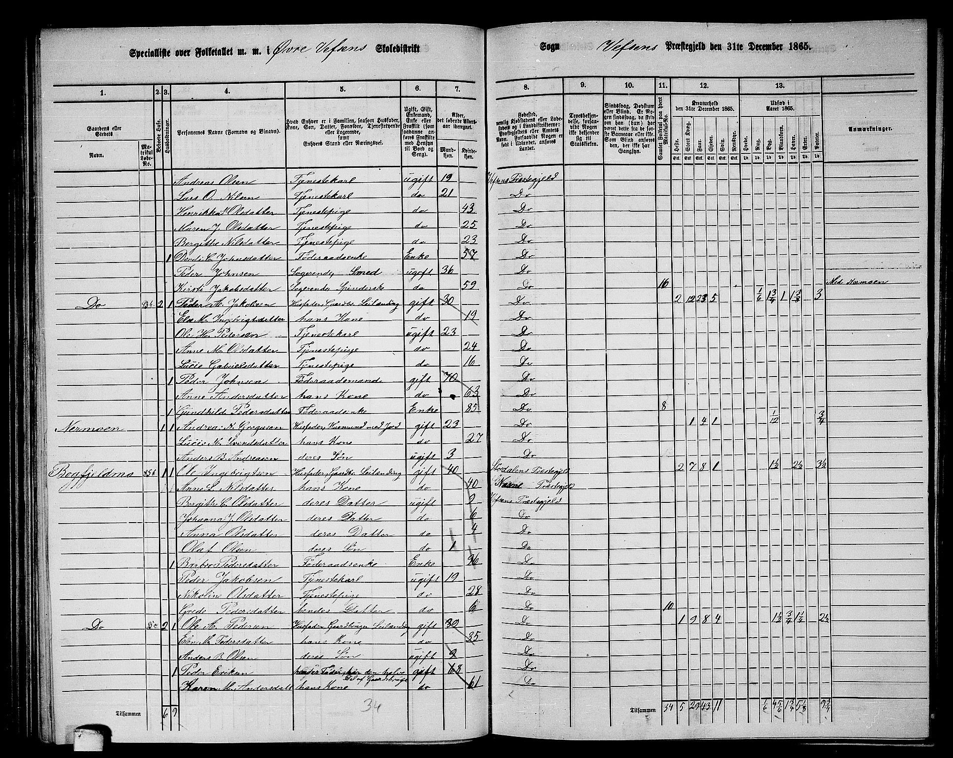 RA, 1865 census for Vefsn, 1865, p. 108