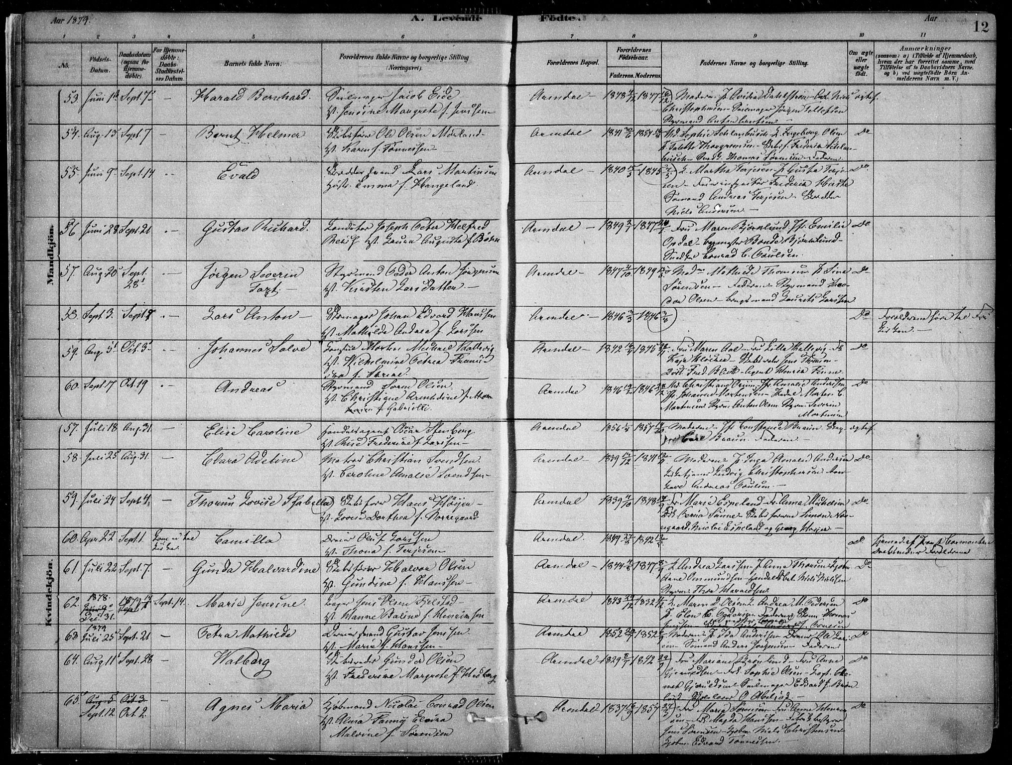 Arendal sokneprestkontor, Trefoldighet, AV/SAK-1111-0040/F/Fa/L0008: Parish register (official) no. A 8, 1878-1899, p. 12
