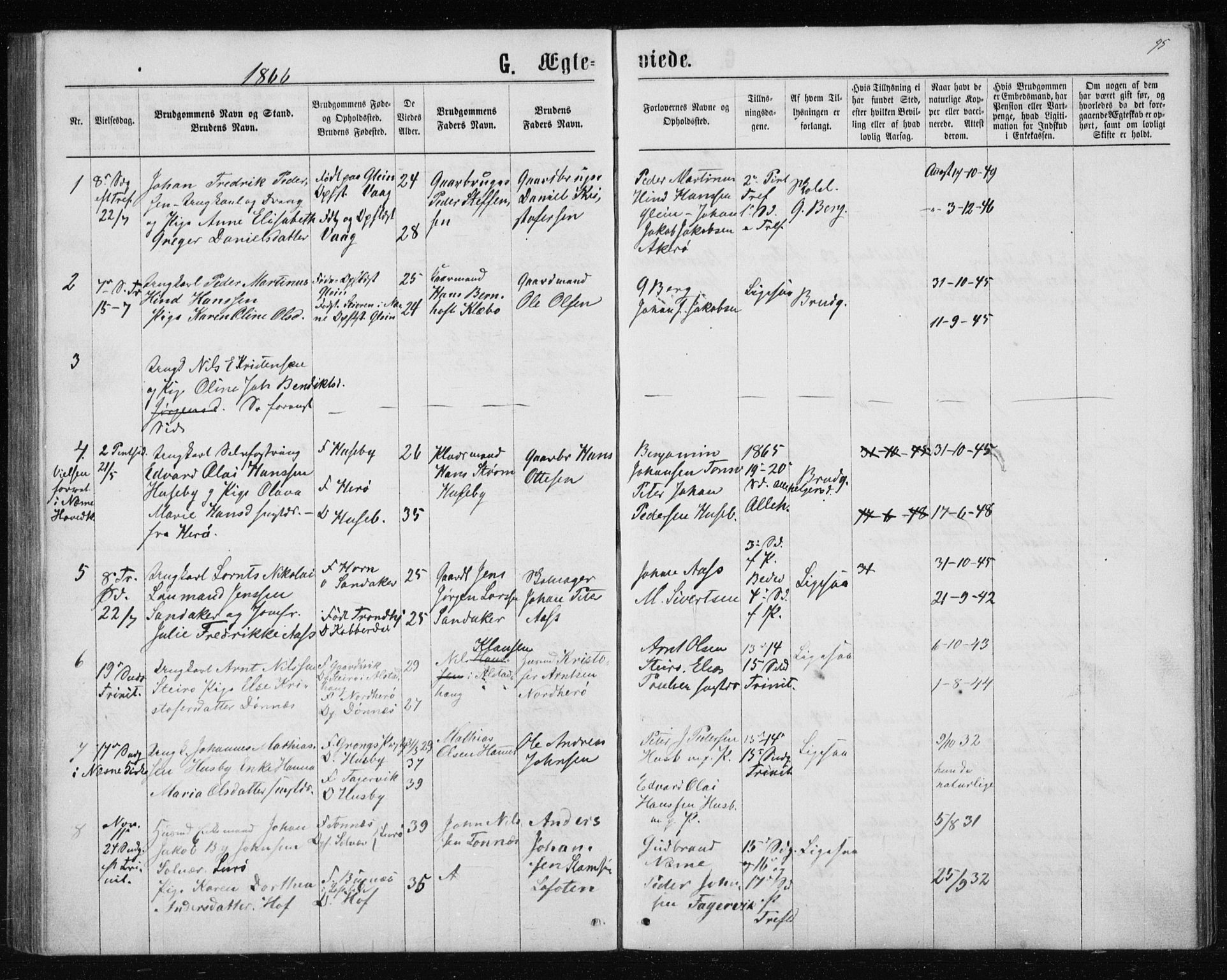 Ministerialprotokoller, klokkerbøker og fødselsregistre - Nordland, AV/SAT-A-1459/835/L0531: Parish register (copy) no. 835C03, 1865-1877, p. 95