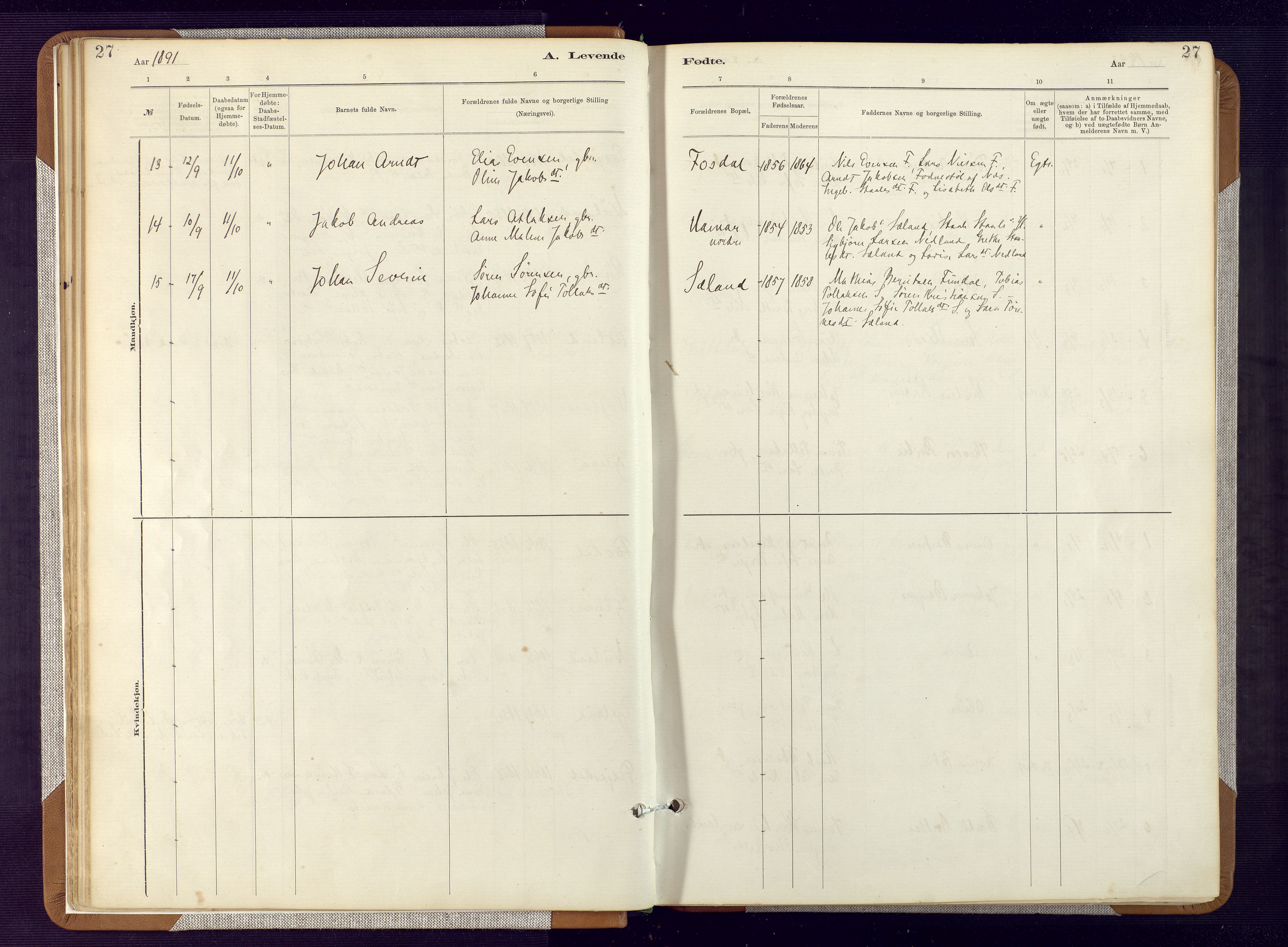Bakke sokneprestkontor, SAK/1111-0002/F/Fa/Fab/L0003: Parish register (official) no. A 3, 1884-1921, p. 27
