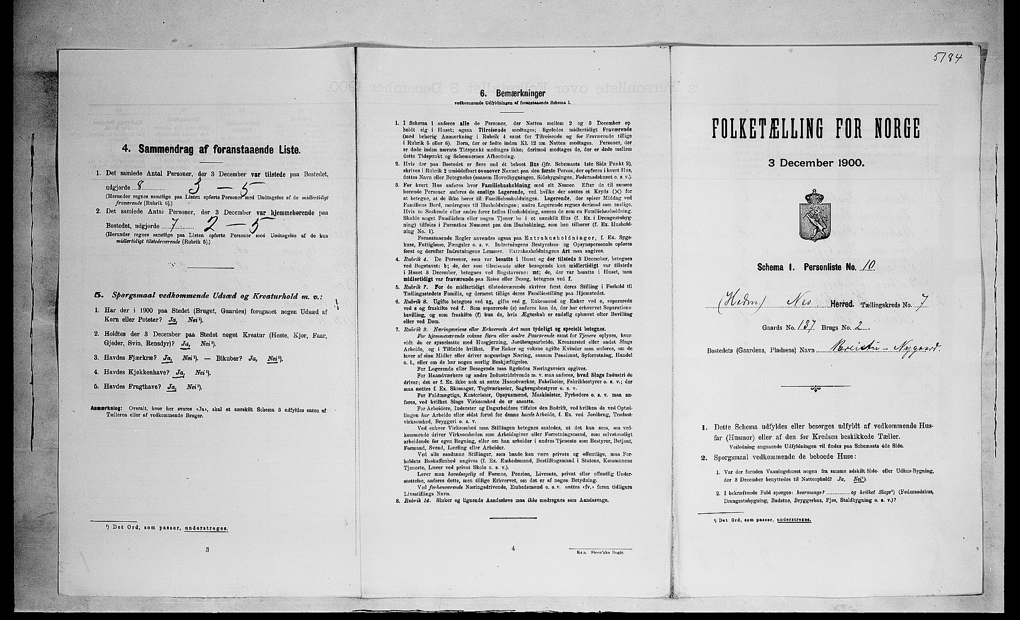 SAH, 1900 census for Nes, 1900, p. 1034