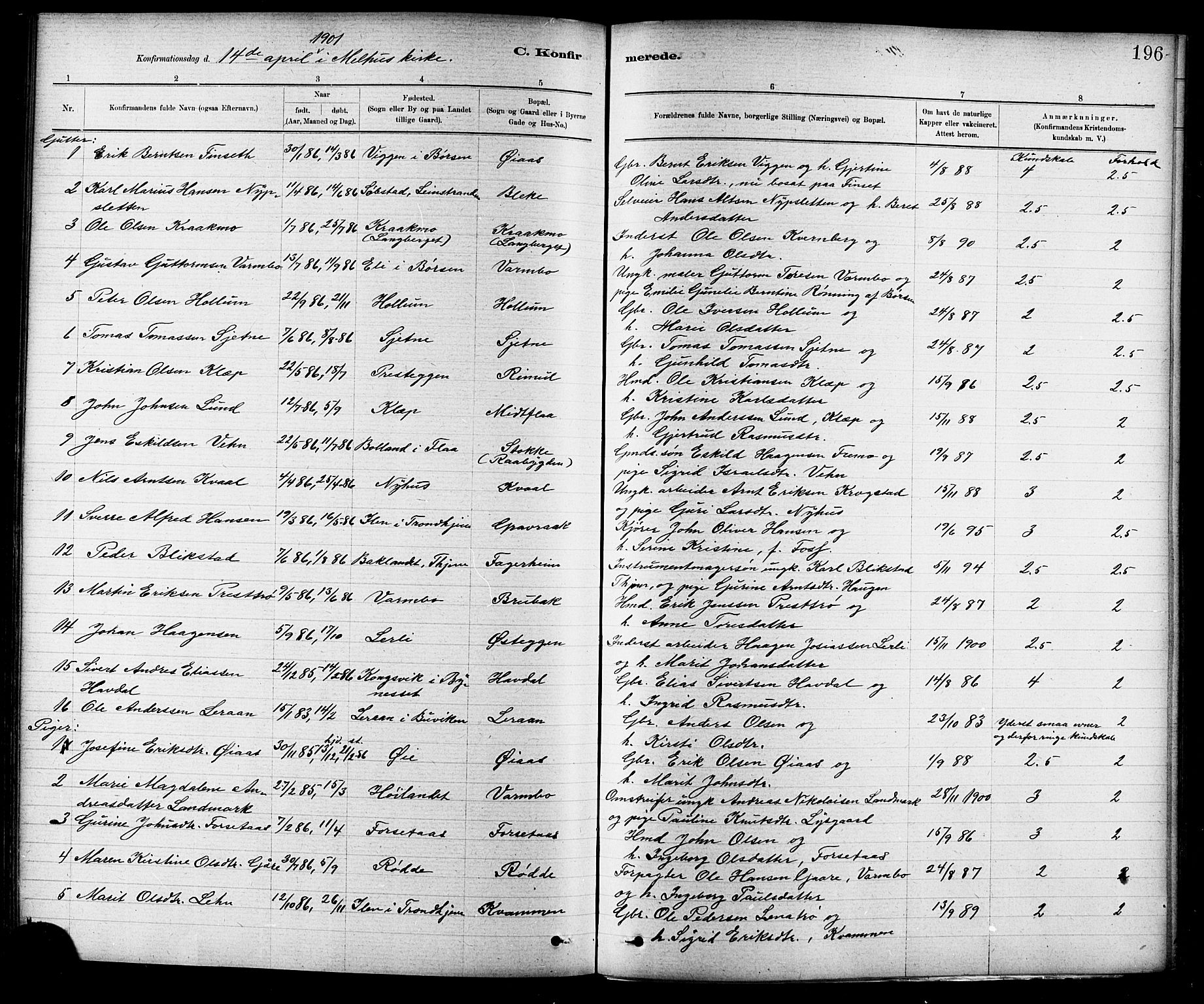 Ministerialprotokoller, klokkerbøker og fødselsregistre - Sør-Trøndelag, SAT/A-1456/691/L1094: Parish register (copy) no. 691C05, 1879-1911, p. 196