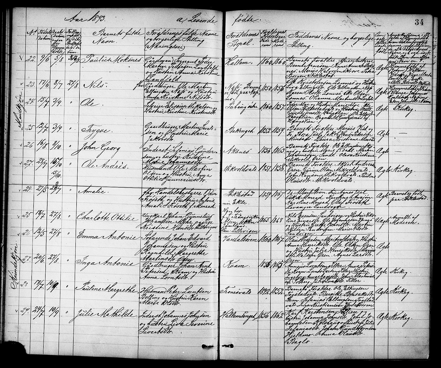 Ministerialprotokoller, klokkerbøker og fødselsregistre - Nord-Trøndelag, SAT/A-1458/723/L0257: Parish register (copy) no. 723C05, 1890-1907, p. 34