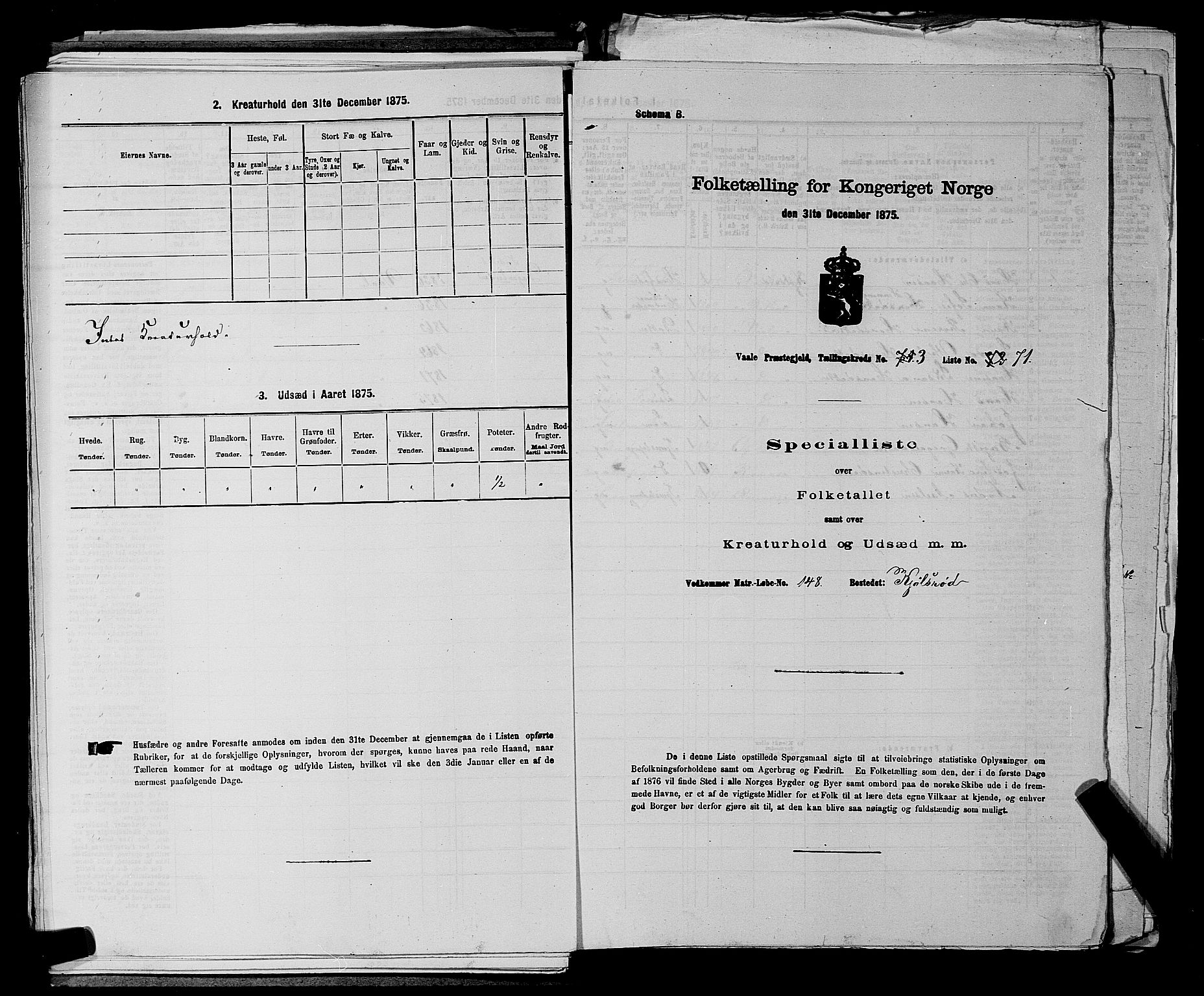 SAKO, 1875 census for 0716P Våle, 1875, p. 507