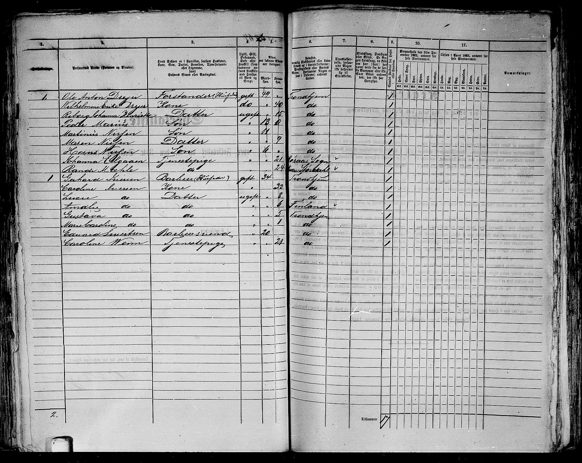 RA, 1865 census for Trondheim, 1865, p. 173