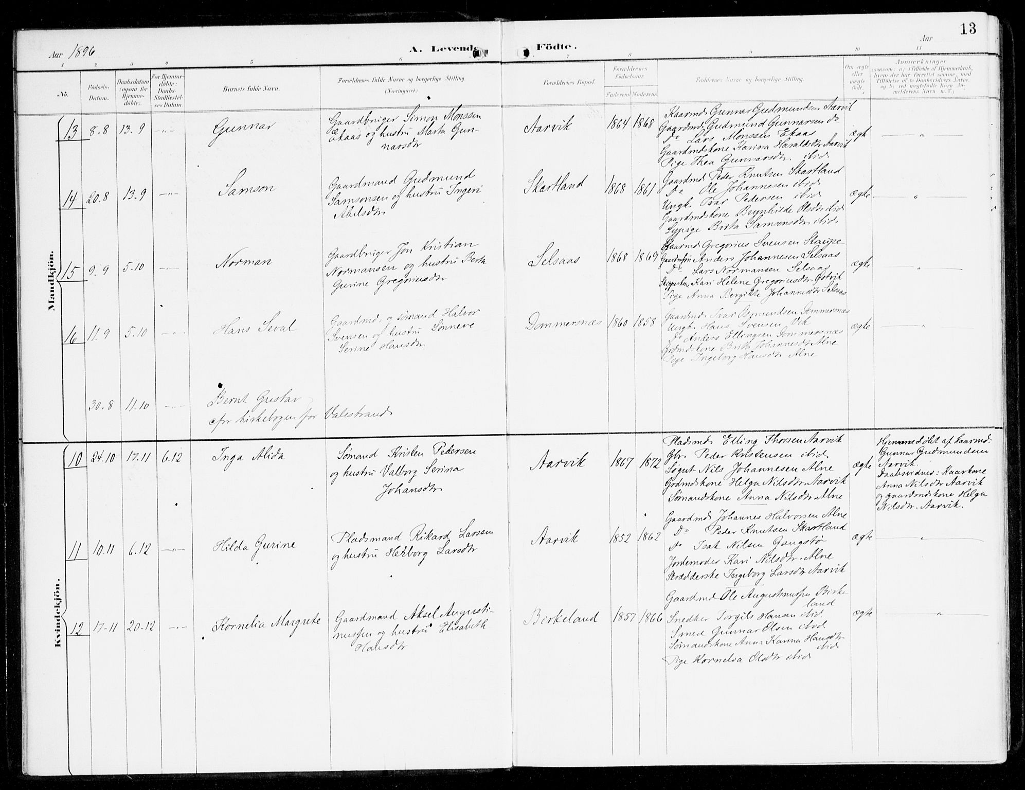 Sveio Sokneprestembete, AV/SAB-A-78501/H/Haa: Parish register (official) no. D 2, 1894-1916, p. 13