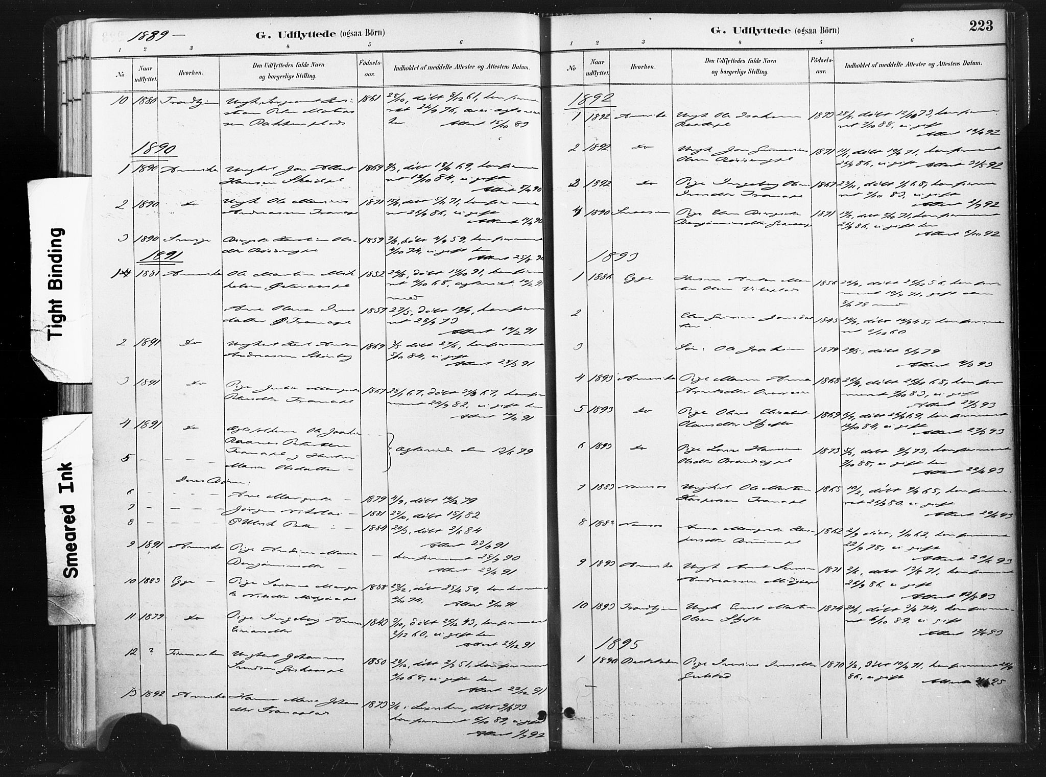 Ministerialprotokoller, klokkerbøker og fødselsregistre - Nord-Trøndelag, AV/SAT-A-1458/736/L0361: Parish register (official) no. 736A01, 1884-1906, p. 223