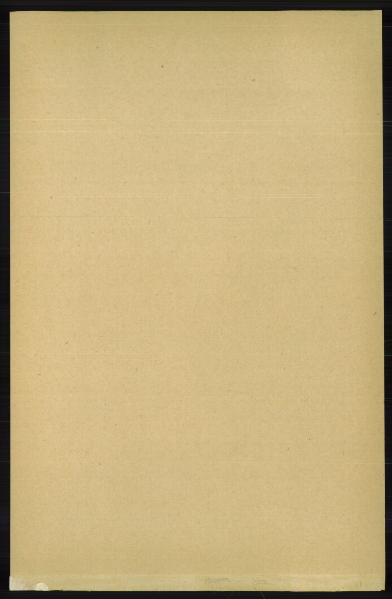 RA, 1891 census for 1018 Søgne, 1891, p. 3119