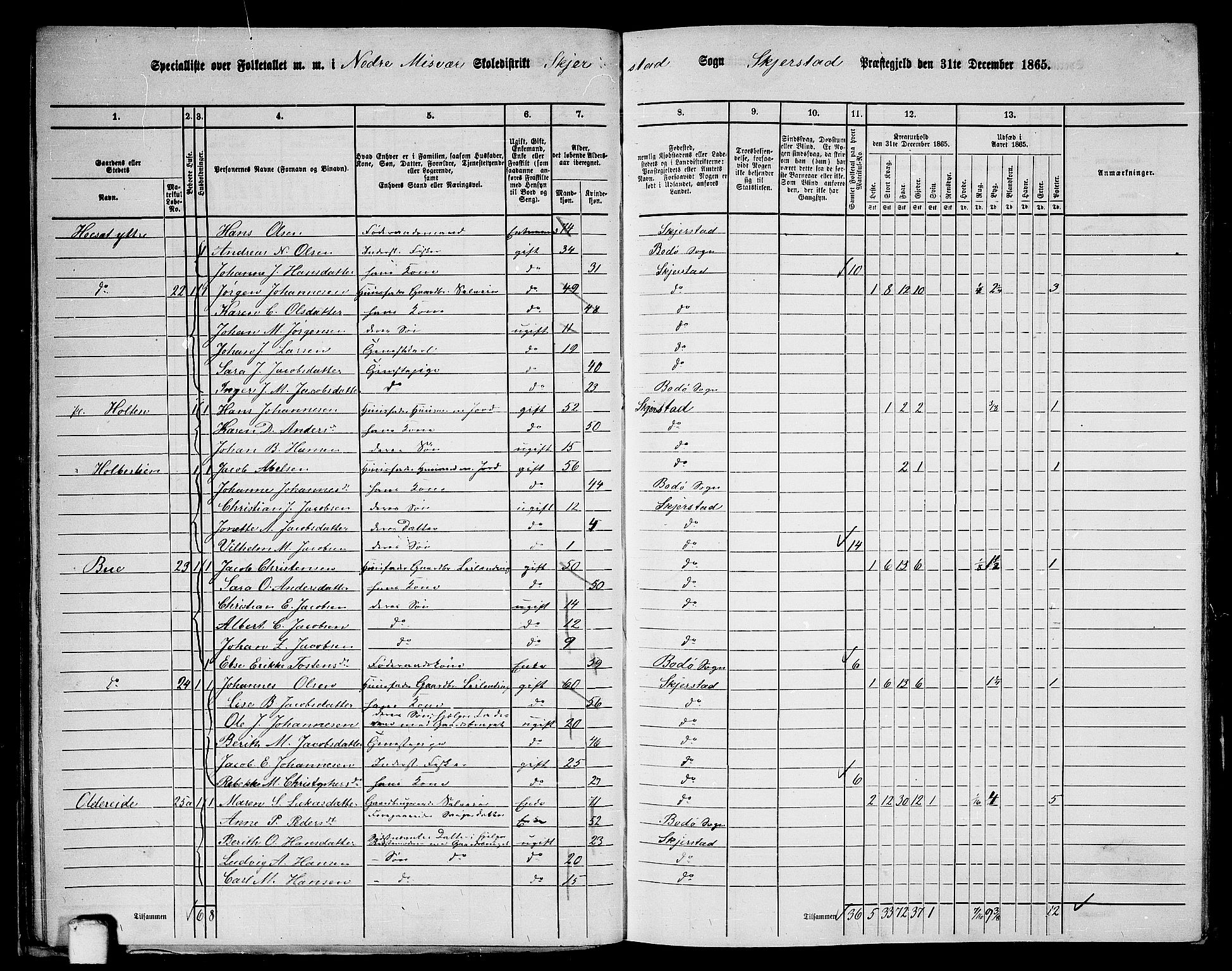 RA, 1865 census for Skjerstad, 1865, p. 39