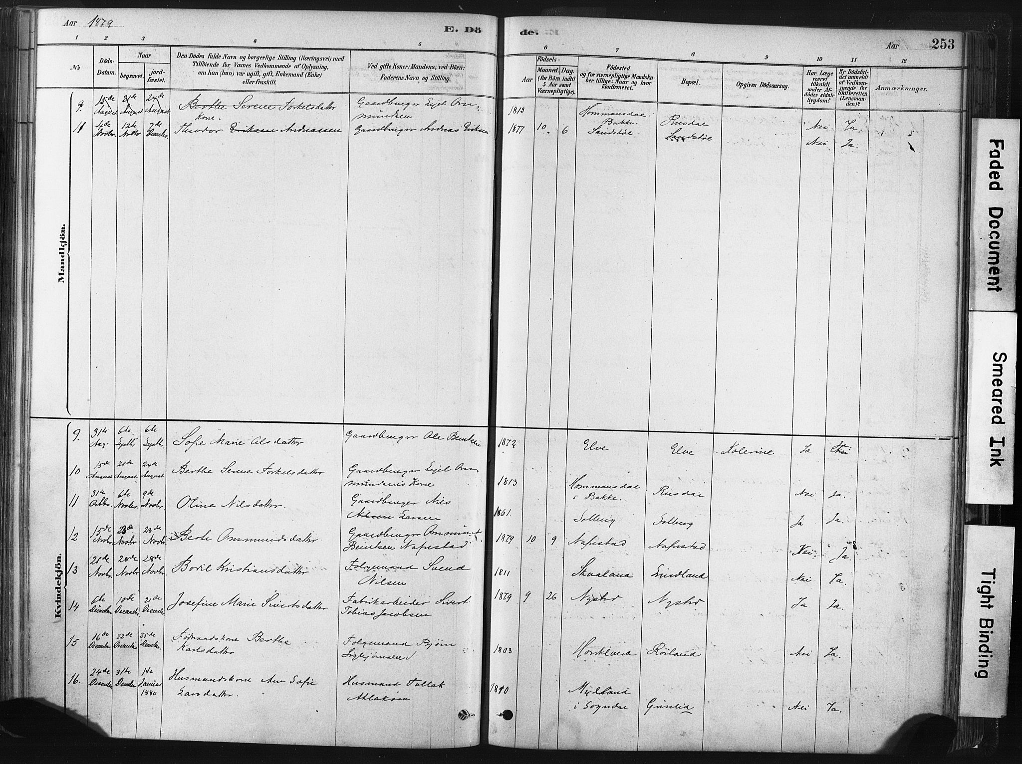 Lund sokneprestkontor, AV/SAST-A-101809/S06/L0011: Parish register (official) no. A 10, 1877-1904, p. 253