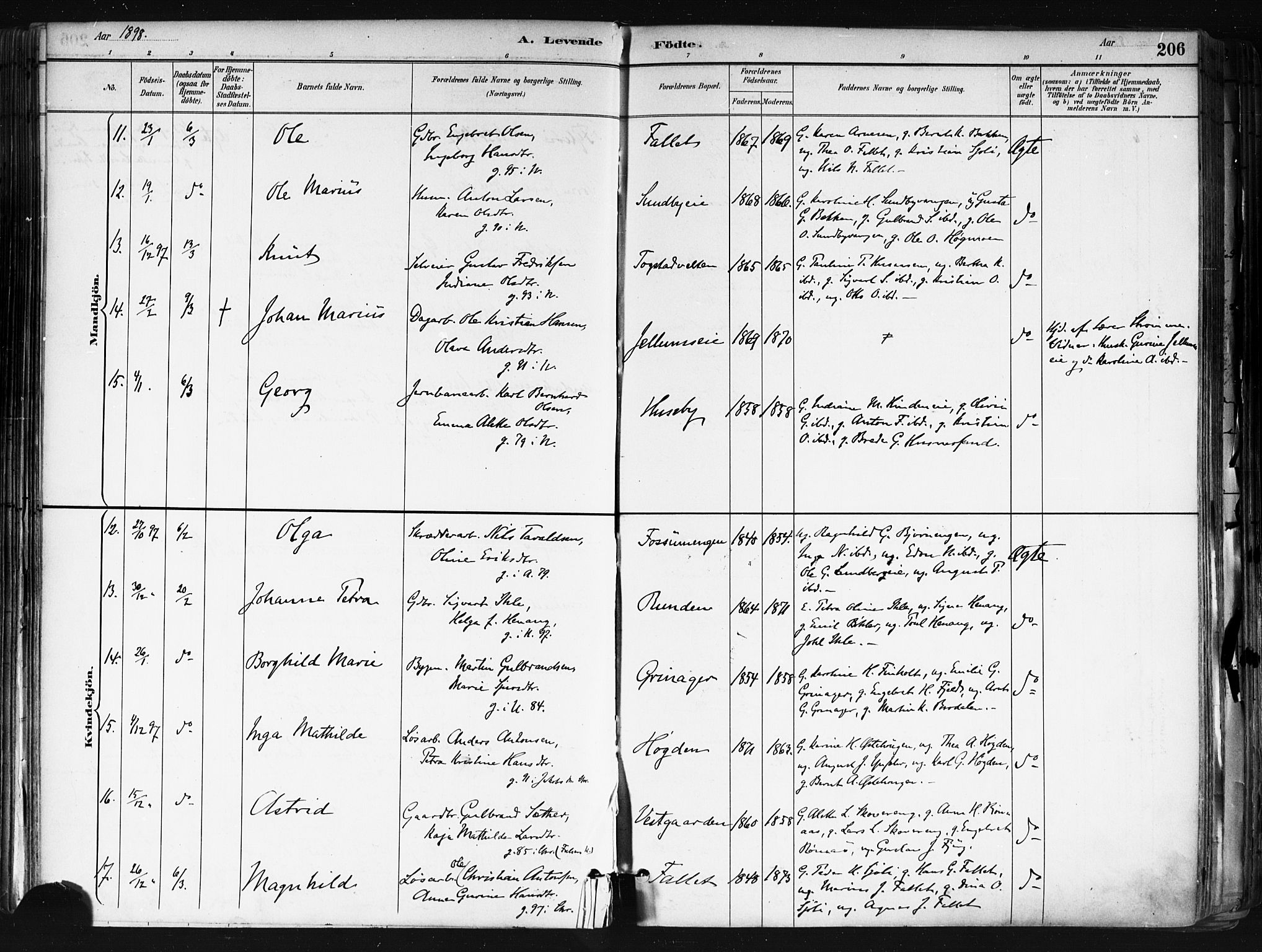Nes prestekontor Kirkebøker, SAO/A-10410/F/Fa/L0010: Parish register (official) no. I 10, 1883-1898, p. 206