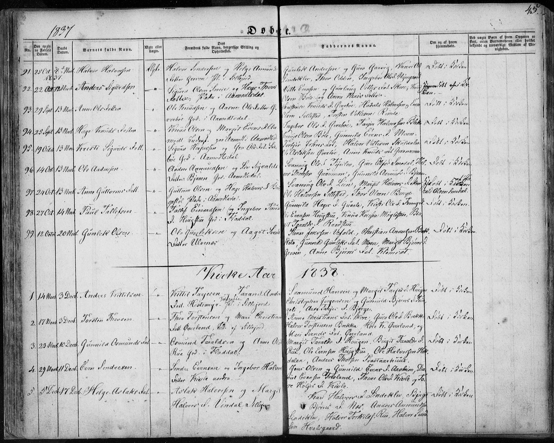 Seljord kirkebøker, SAKO/A-20/F/Fa/L0011: Parish register (official) no. I 11, 1831-1849, p. 45