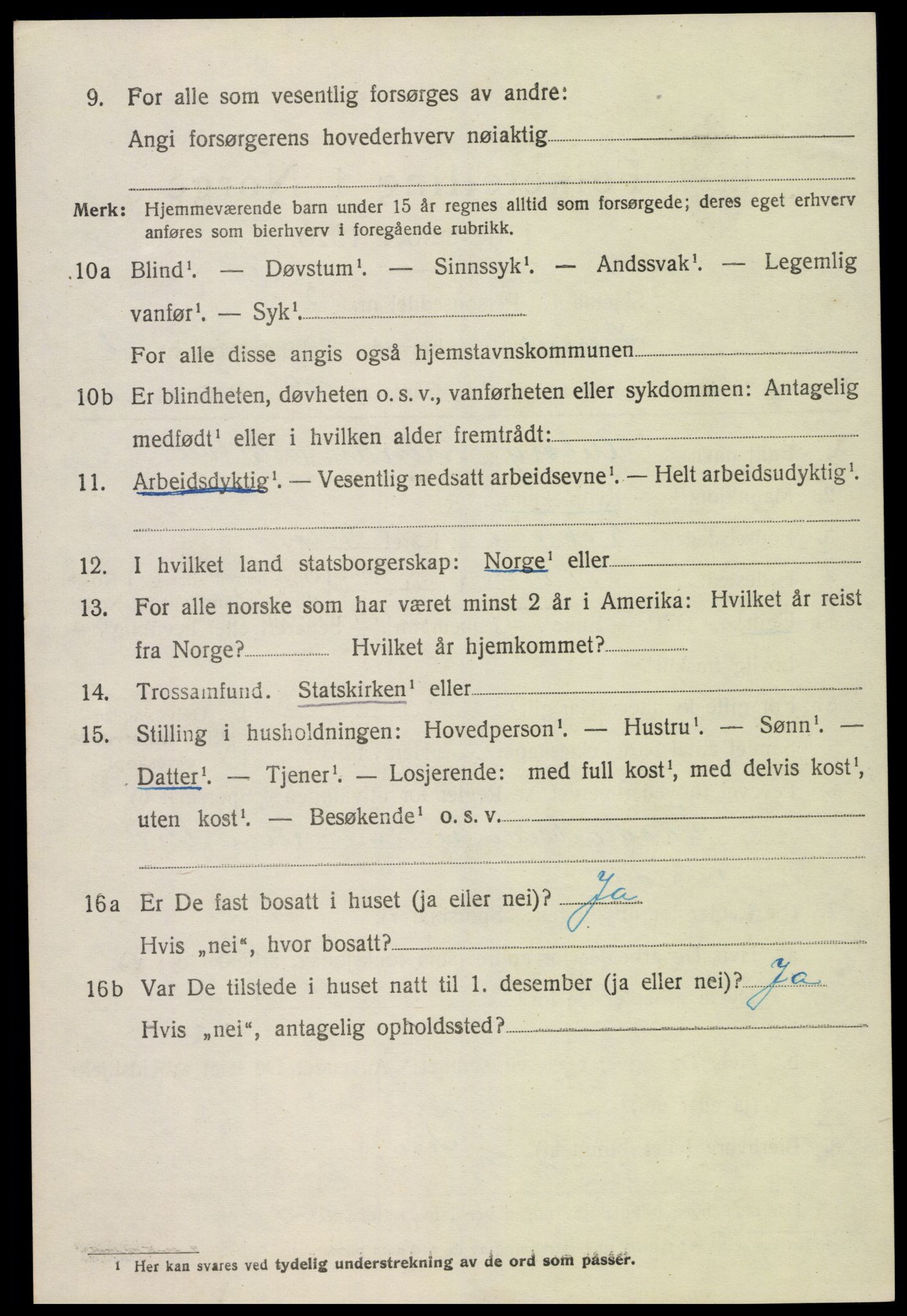 SAK, 1920 census for Hornnes, 1920, p. 2886