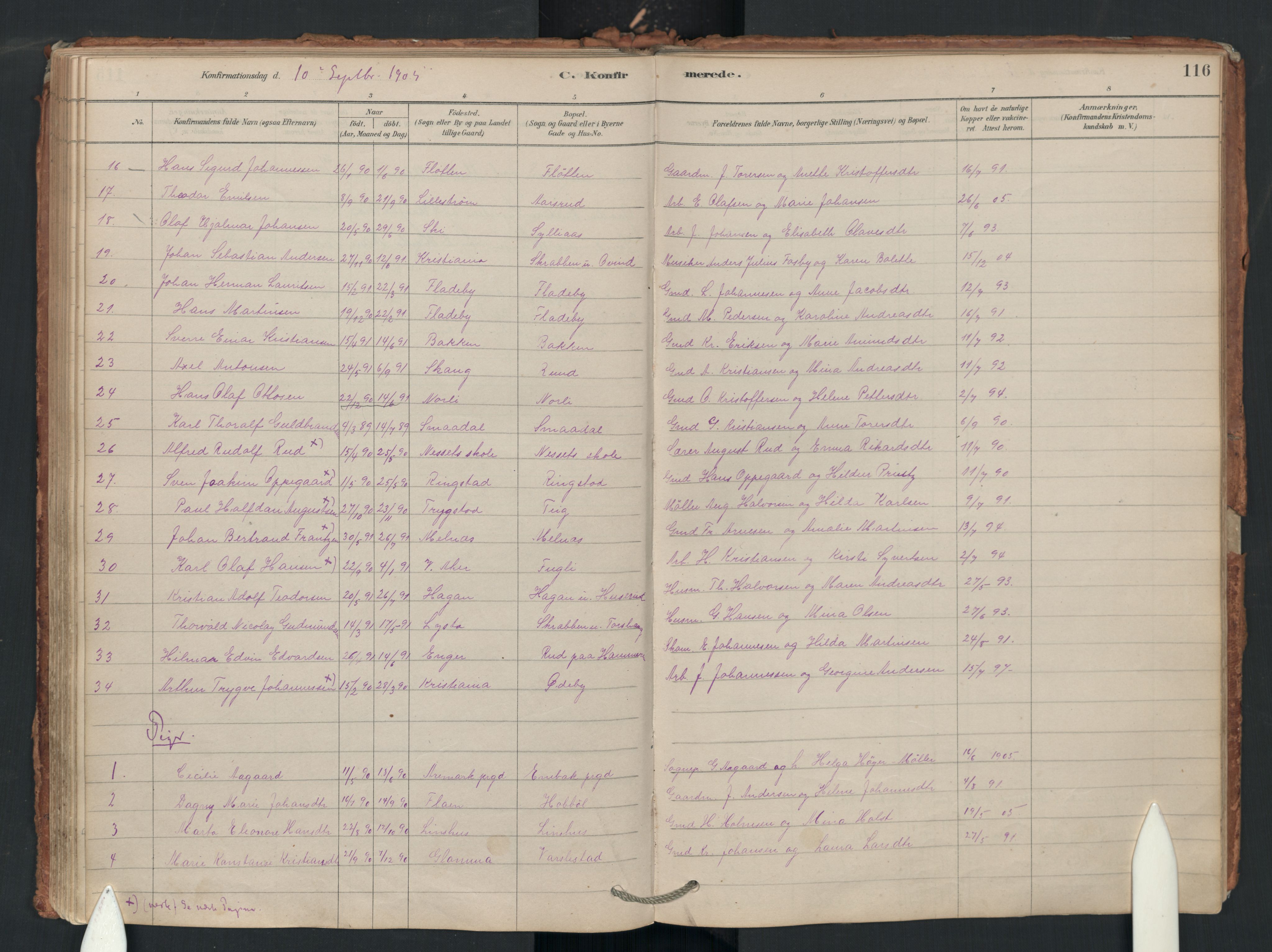 Enebakk prestekontor Kirkebøker, SAO/A-10171c/F/Fa/L0018: Parish register (official) no. I 18, 1877-1930, p. 116