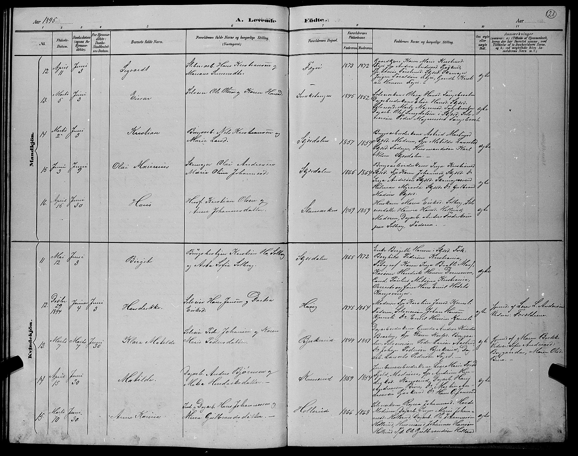 Hole kirkebøker, AV/SAKO-A-228/G/Gb/L0003: Parish register (copy) no. II 3, 1890-1901, p. 28