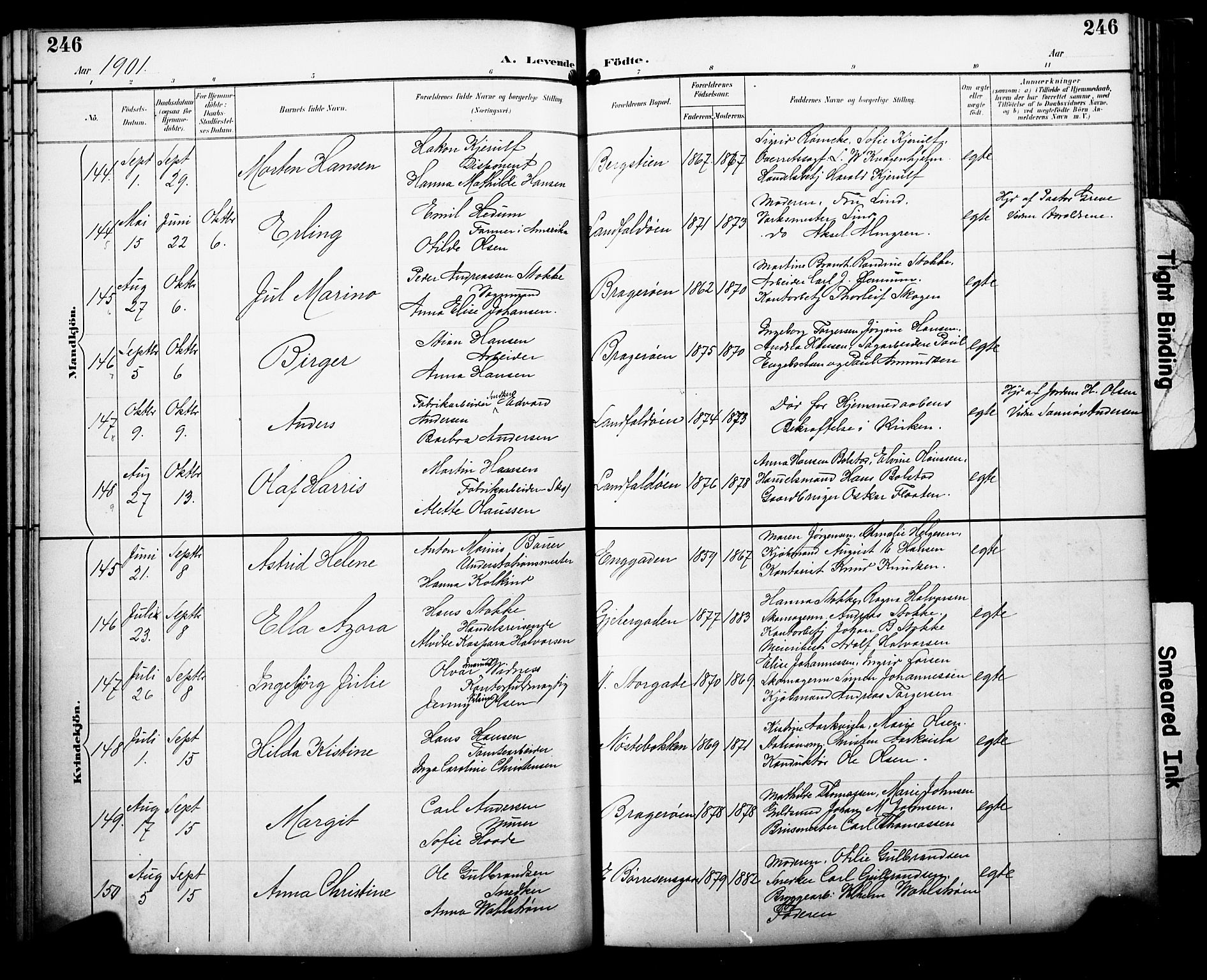 Bragernes kirkebøker, AV/SAKO-A-6/F/Fb/L0008: Parish register (official) no. II 8, 1894-1902, p. 246