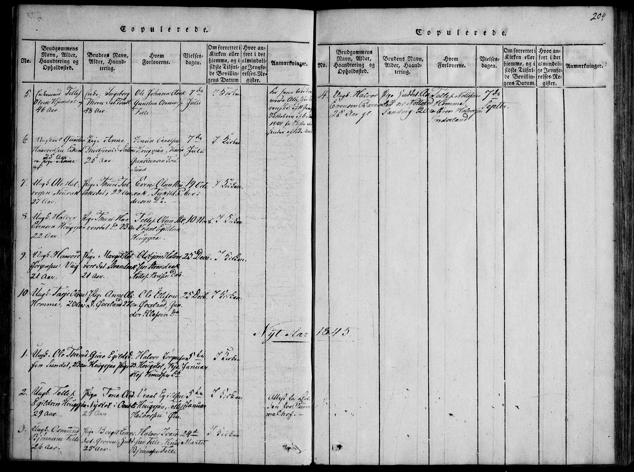 Nissedal kirkebøker, SAKO/A-288/F/Fb/L0001: Parish register (official) no. II 1, 1814-1845, p. 204