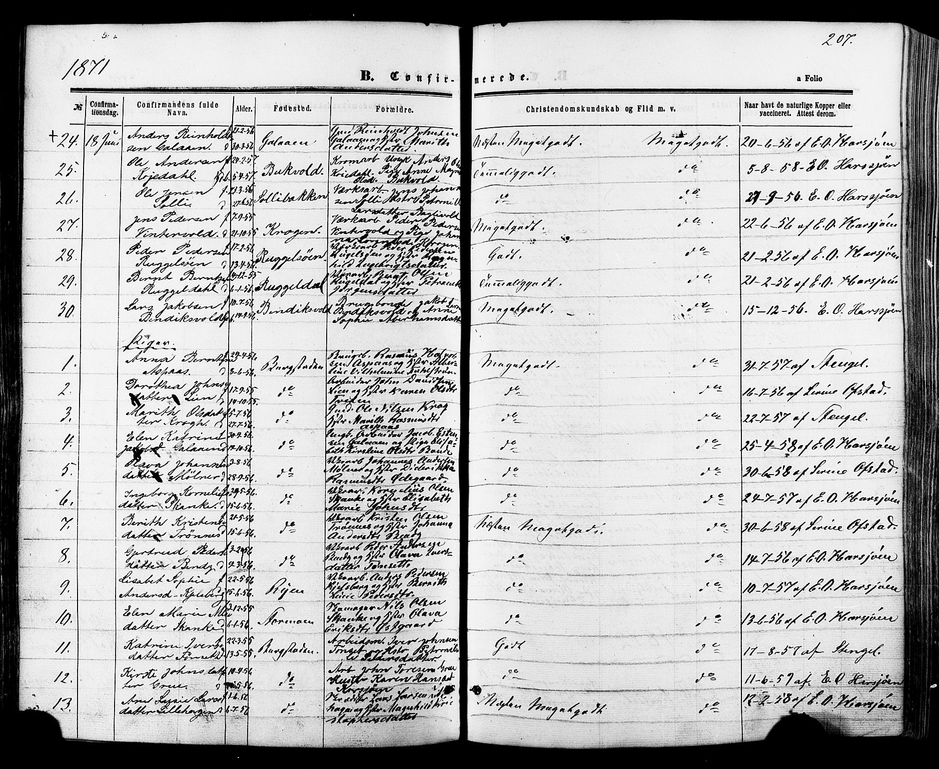 Ministerialprotokoller, klokkerbøker og fødselsregistre - Sør-Trøndelag, SAT/A-1456/681/L0932: Parish register (official) no. 681A10, 1860-1878, p. 207