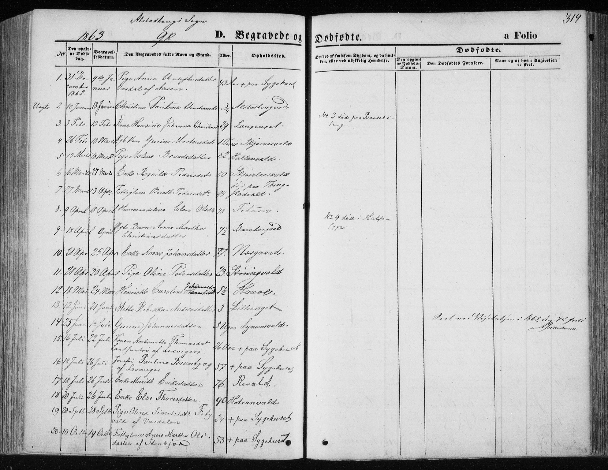 Ministerialprotokoller, klokkerbøker og fødselsregistre - Nord-Trøndelag, SAT/A-1458/717/L0157: Parish register (official) no. 717A08 /1, 1863-1877, p. 319
