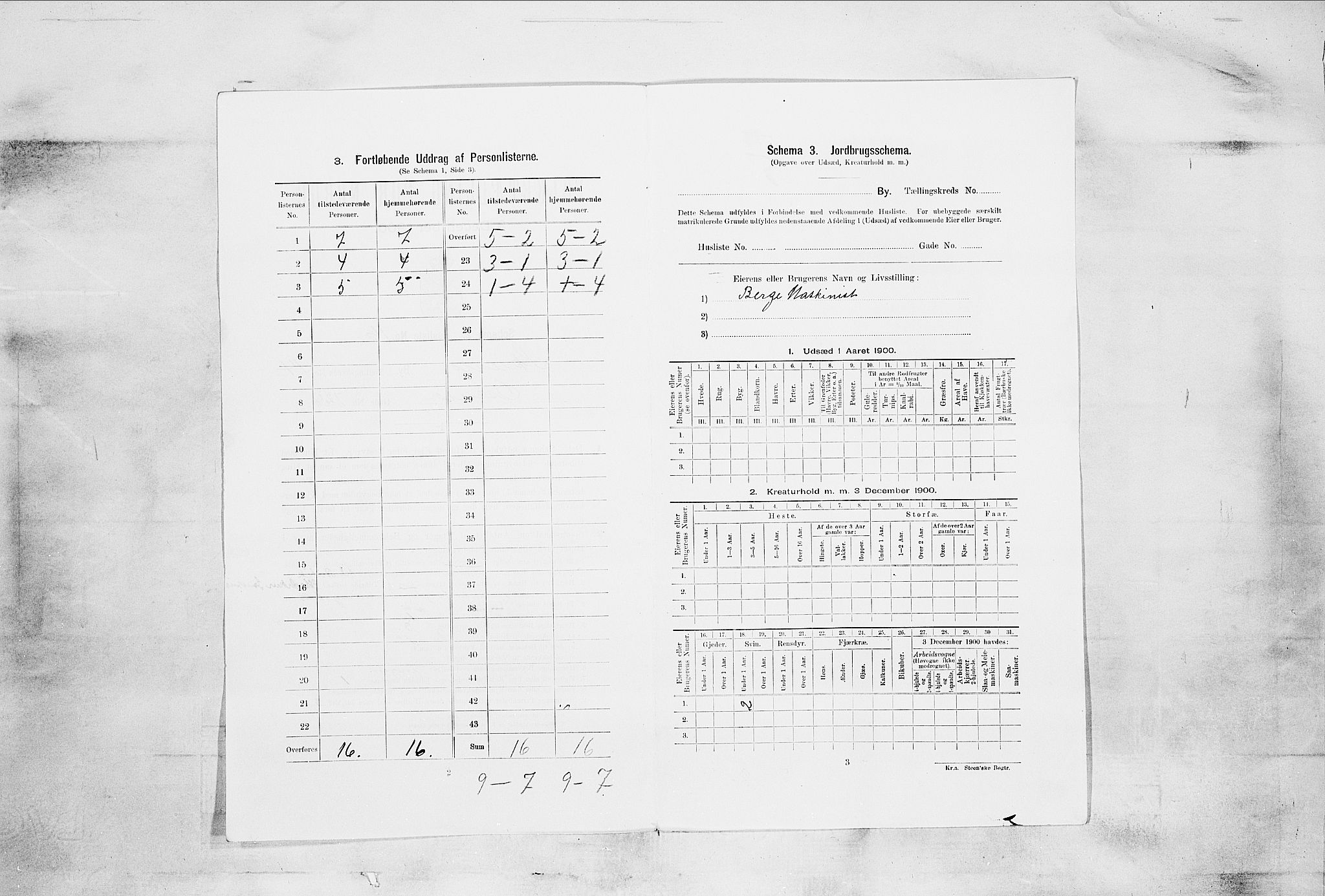 SAKO, 1900 census for Skien, 1900, p. 2355