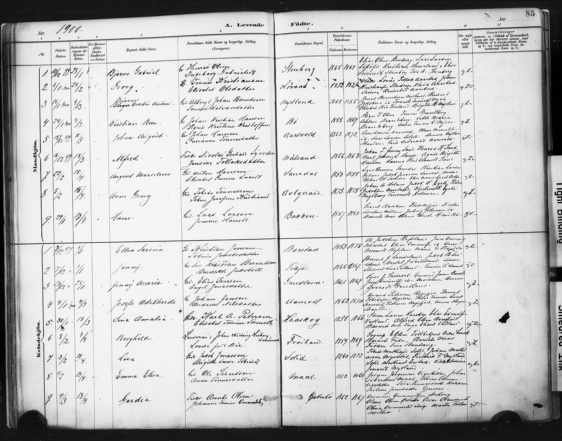 Sokndal sokneprestkontor, SAST/A-101808: Parish register (official) no. A 11.1, 1887-1905, p. 85
