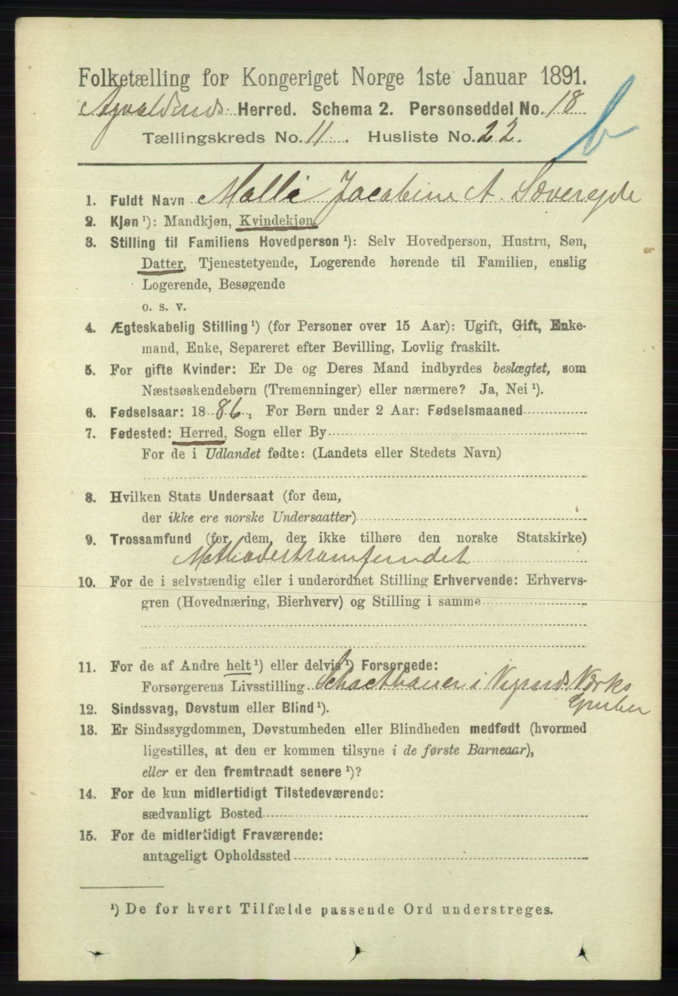 RA, 1891 census for 1147 Avaldsnes, 1891, p. 6543