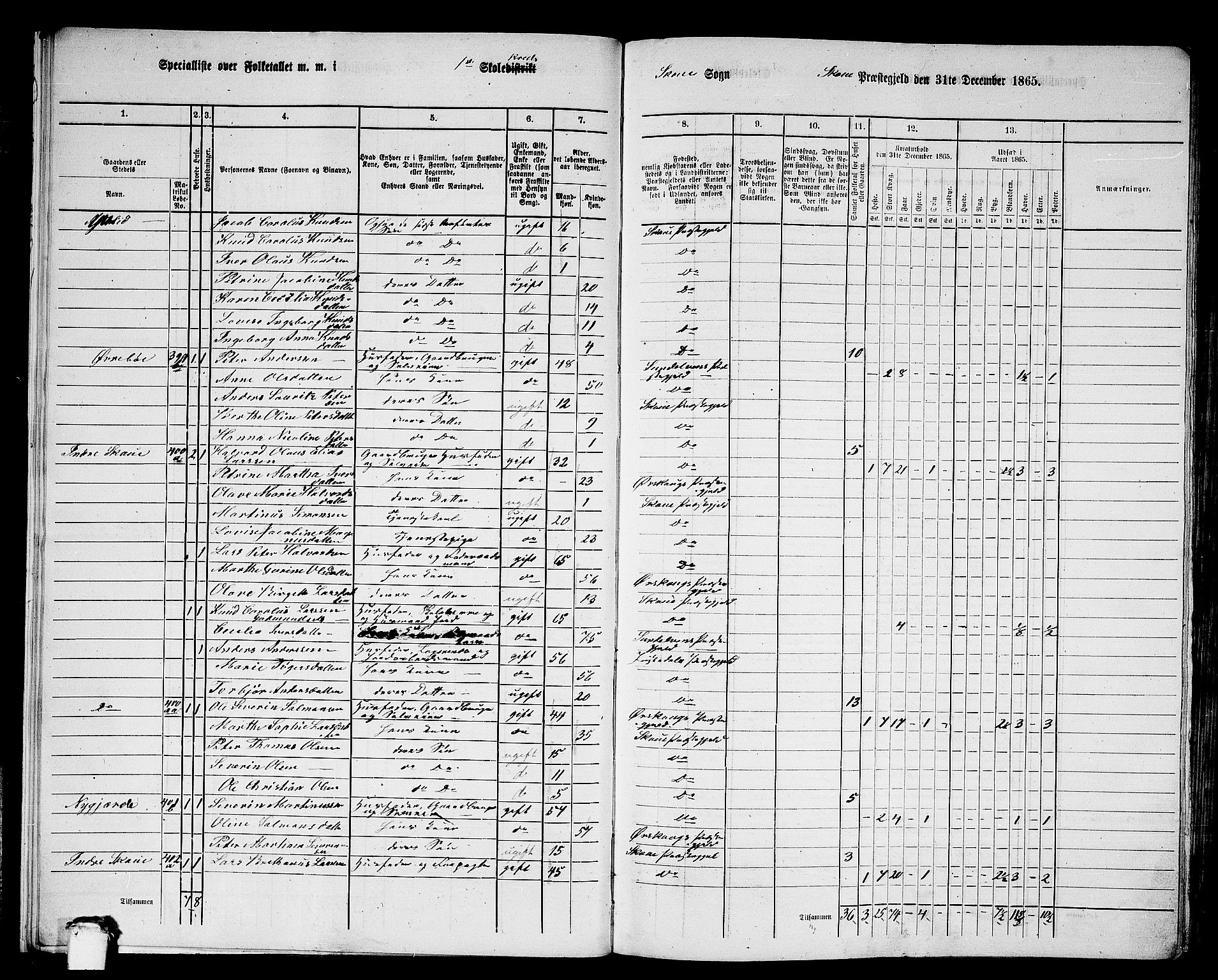 RA, 1865 census for Skodje, 1865, p. 17