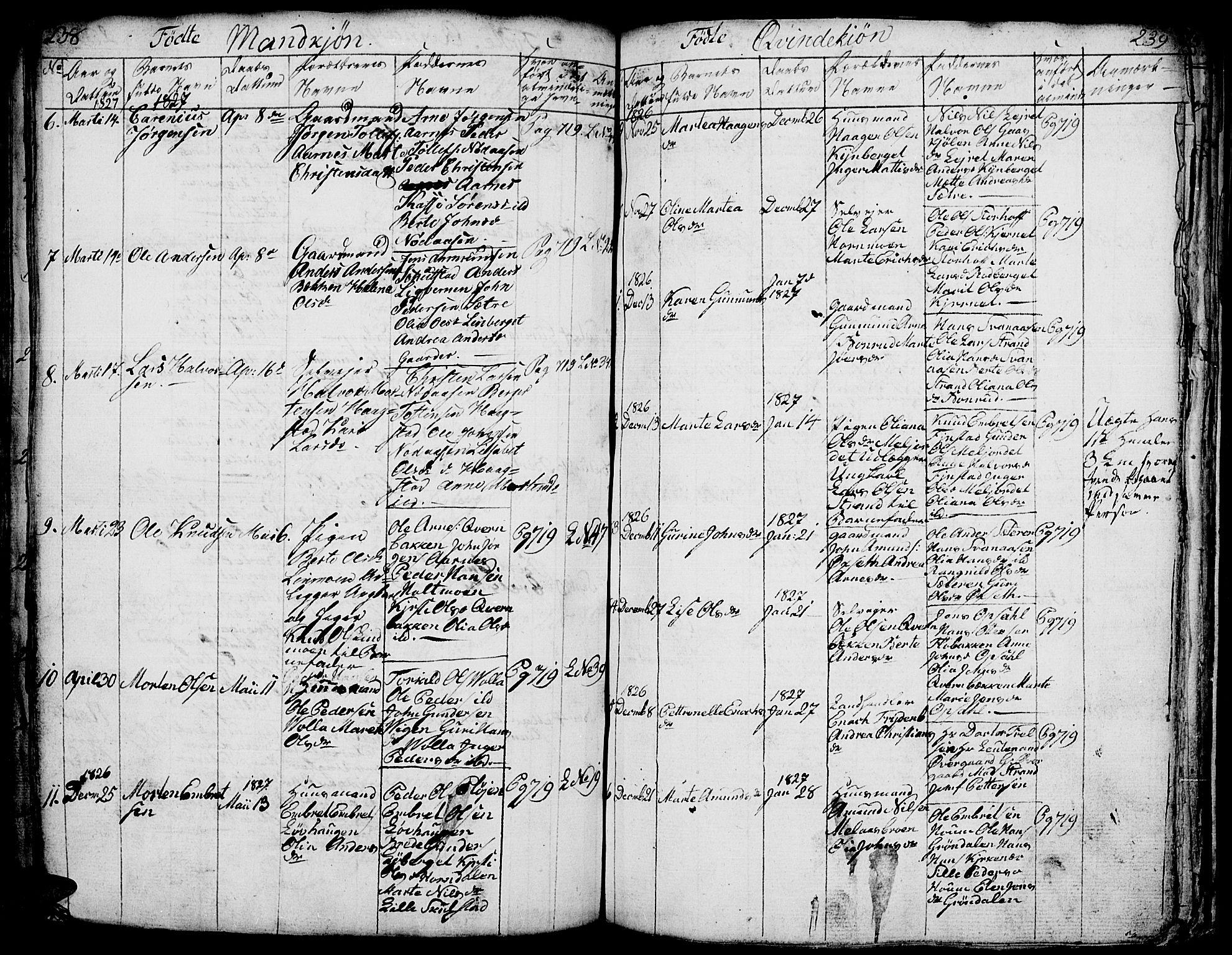 Elverum prestekontor, AV/SAH-PREST-044/H/Ha/Hab/L0001: Parish register (copy) no. 1, 1815-1829, p. 238-239