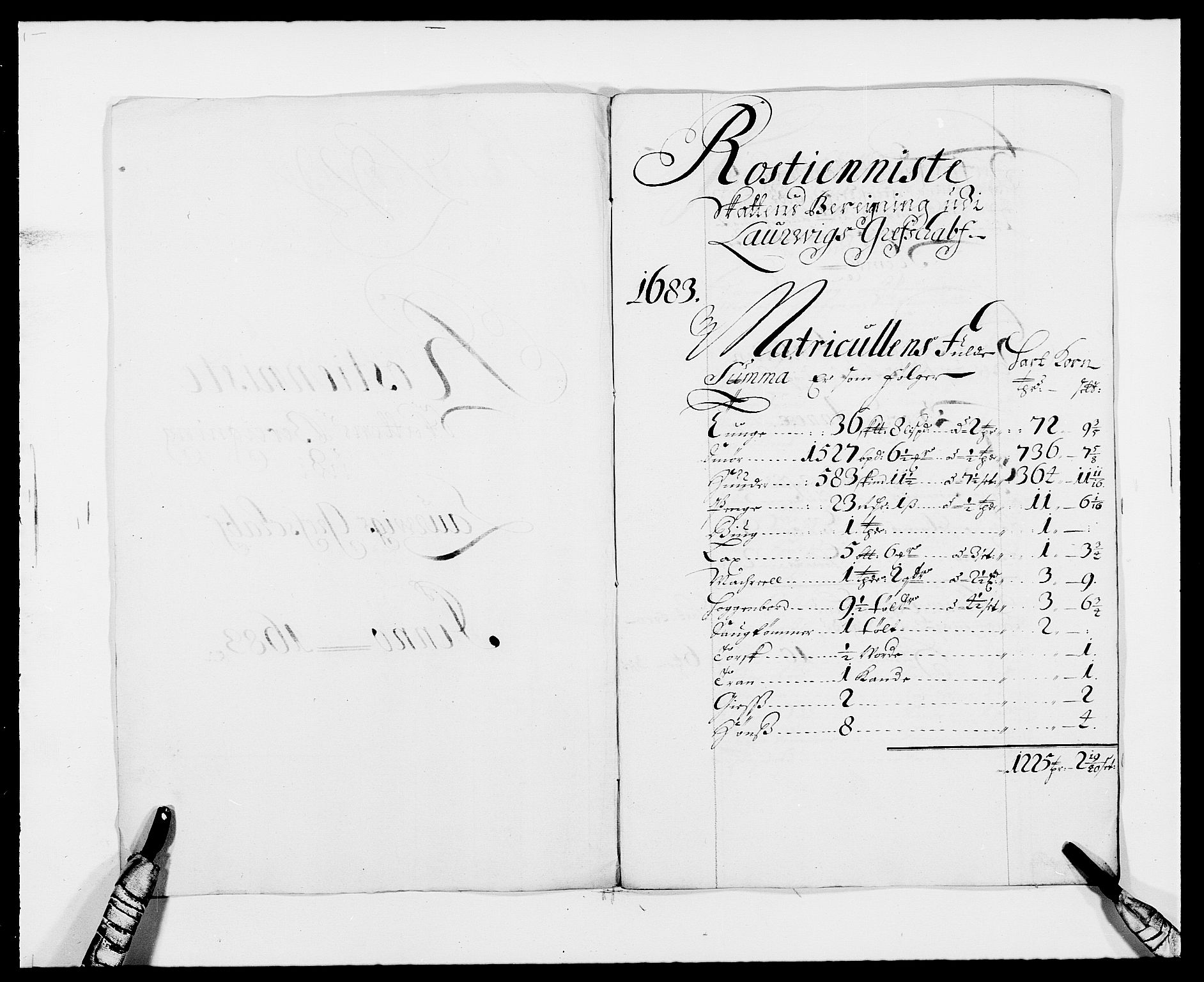 Rentekammeret inntil 1814, Reviderte regnskaper, Fogderegnskap, RA/EA-4092/R33/L1969: Fogderegnskap Larvik grevskap, 1675-1687, p. 317