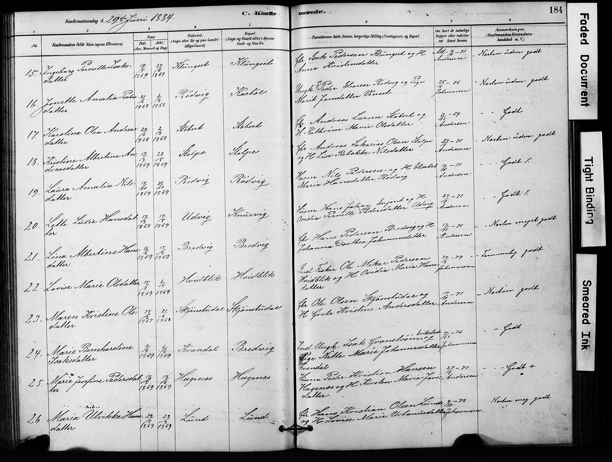 Ministerialprotokoller, klokkerbøker og fødselsregistre - Nordland, AV/SAT-A-1459/852/L0754: Parish register (copy) no. 852C05, 1878-1894, p. 184