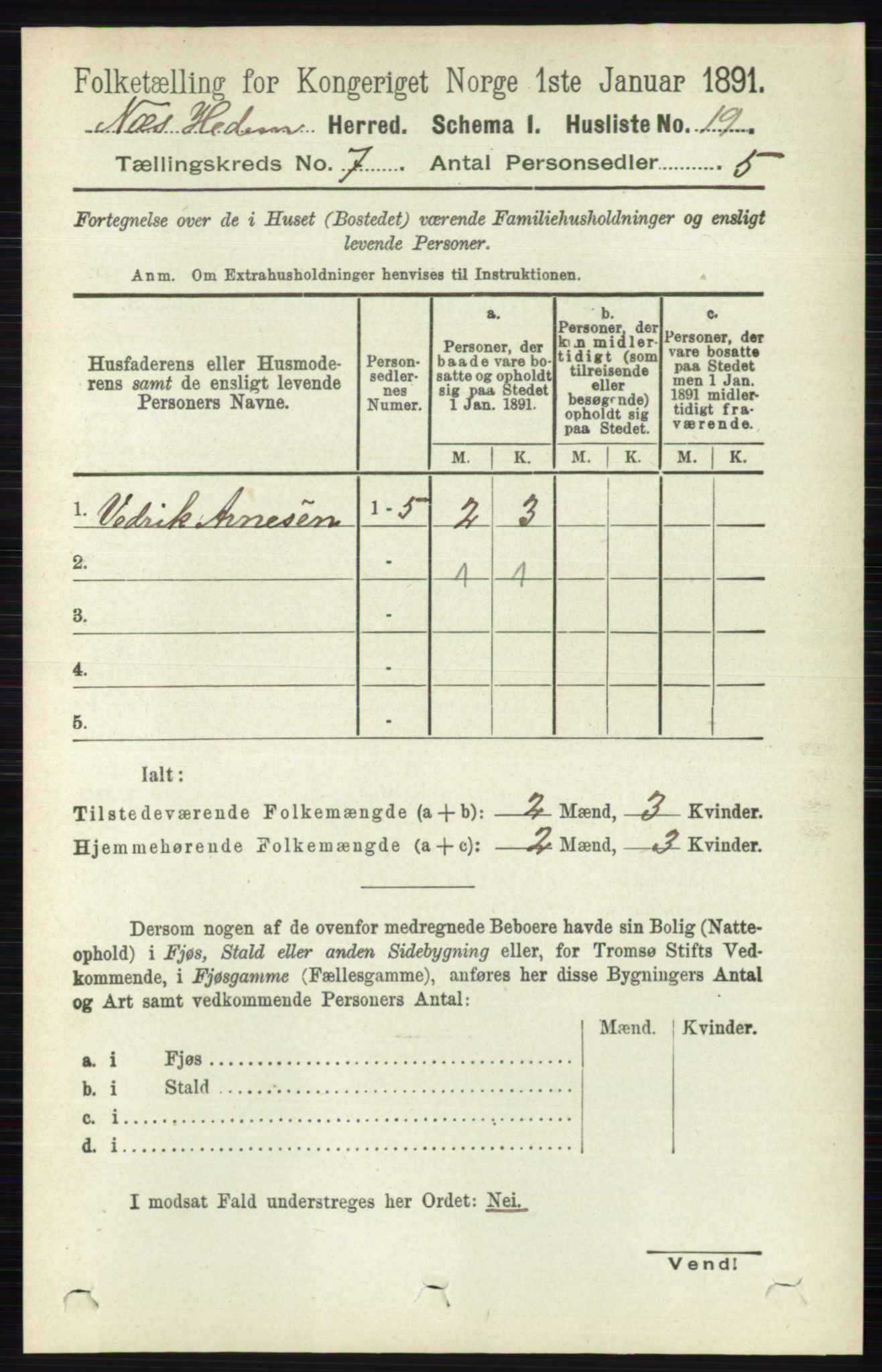 RA, 1891 census for 0411 Nes, 1891, p. 3847