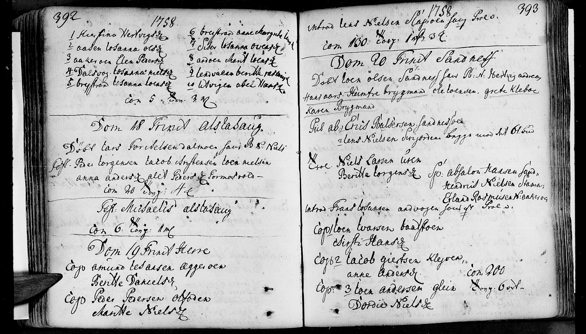 Ministerialprotokoller, klokkerbøker og fødselsregistre - Nordland, AV/SAT-A-1459/830/L0434: Parish register (official) no. 830A03, 1737-1767, p. 392-393