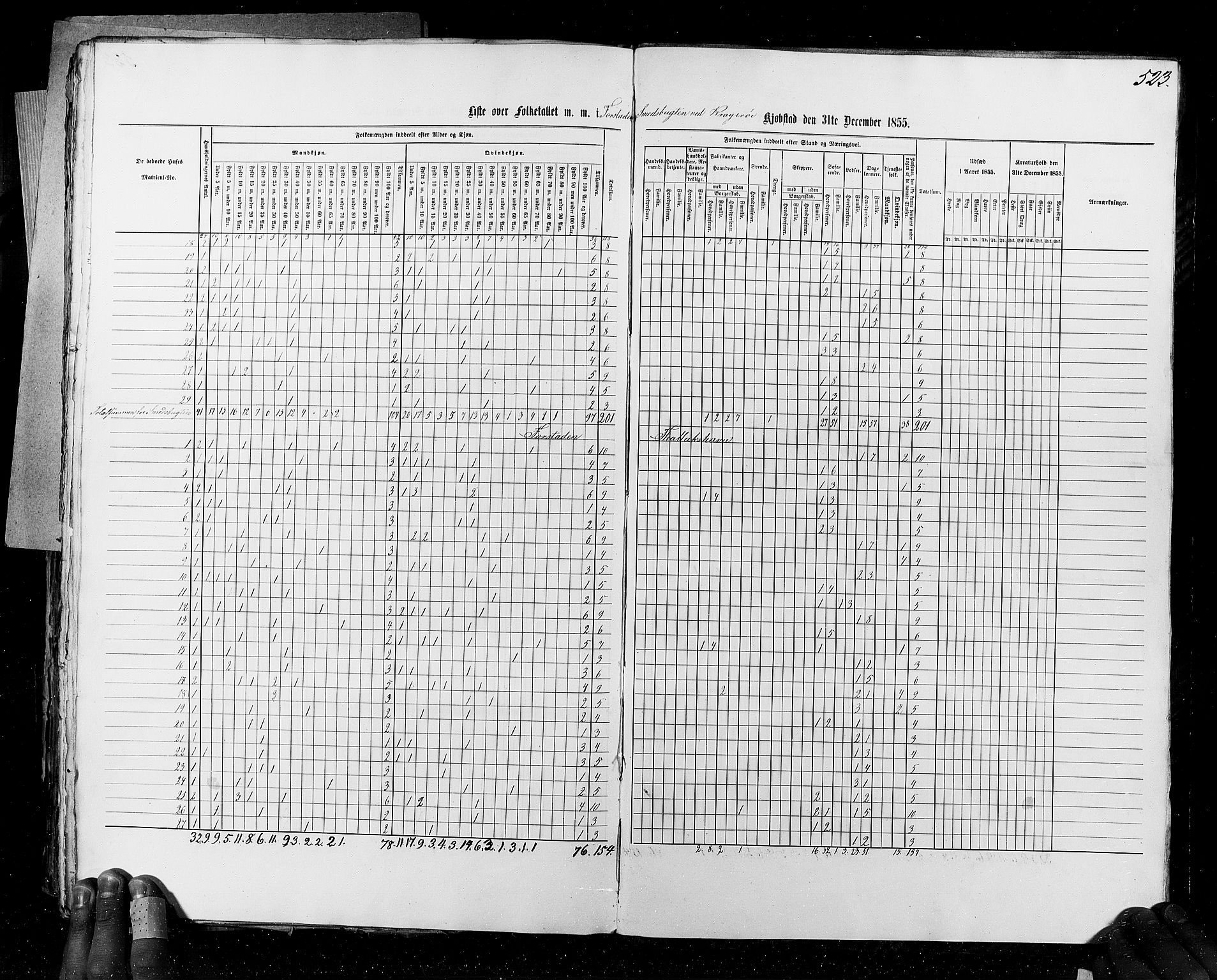 RA, Census 1855, vol. 7: Fredrikshald-Kragerø, 1855, p. 523