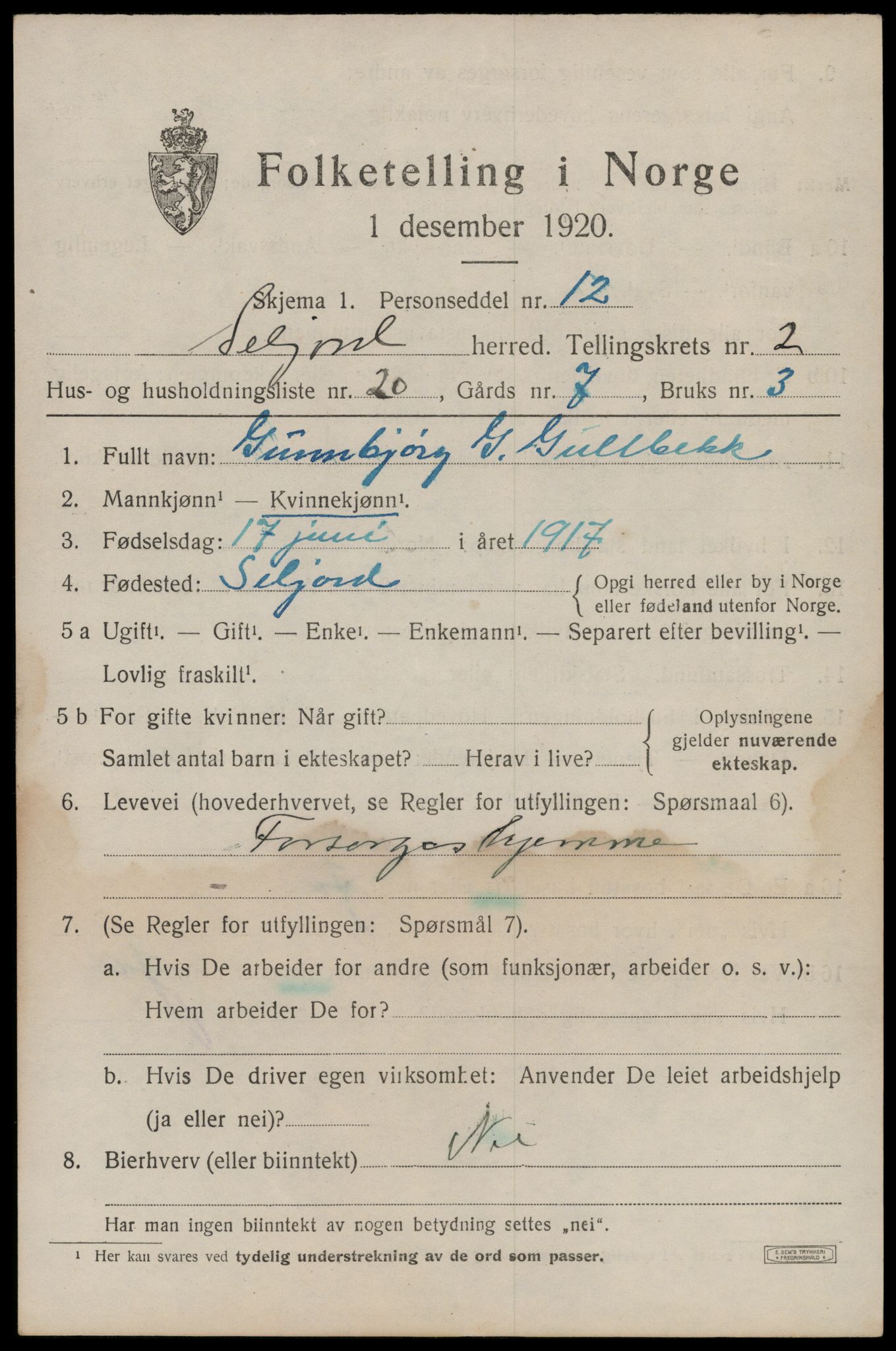 SAKO, 1920 census for Seljord, 1920, p. 1740