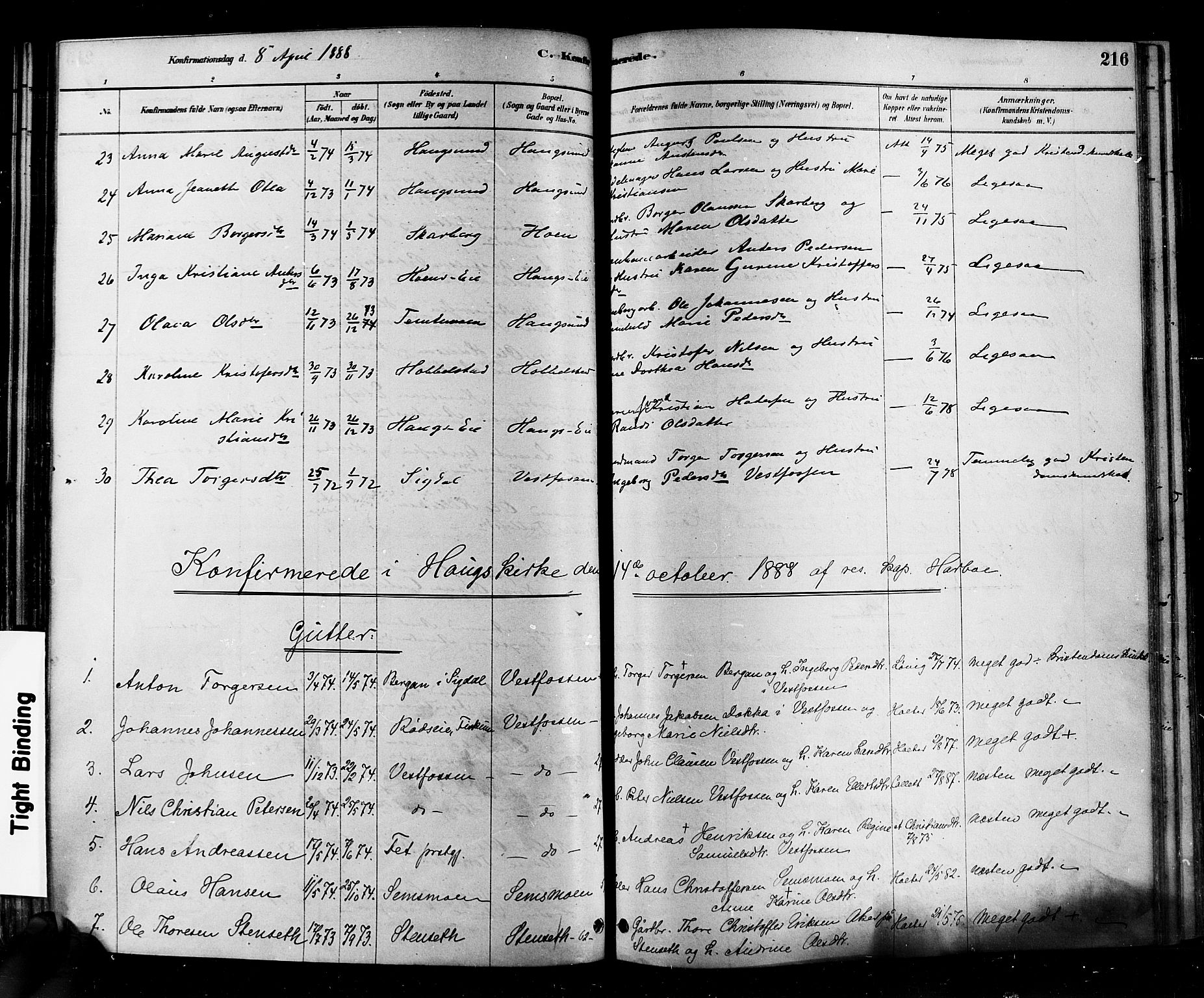 Eiker kirkebøker, AV/SAKO-A-4/F/Fb/L0001: Parish register (official) no. II 1, 1878-1888, p. 216