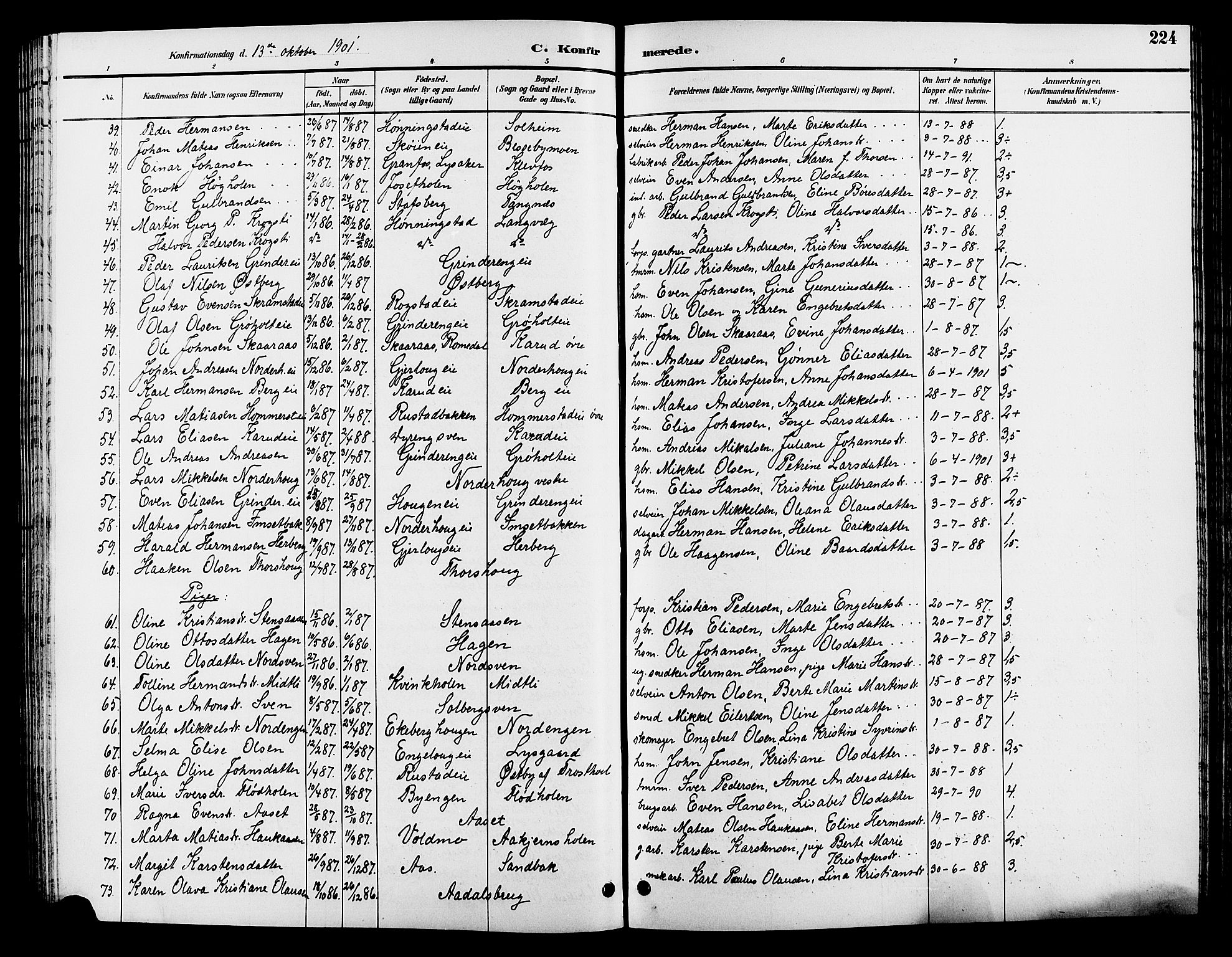 Løten prestekontor, AV/SAH-PREST-022/L/La/L0006: Parish register (copy) no. 6, 1892-1909, p. 224